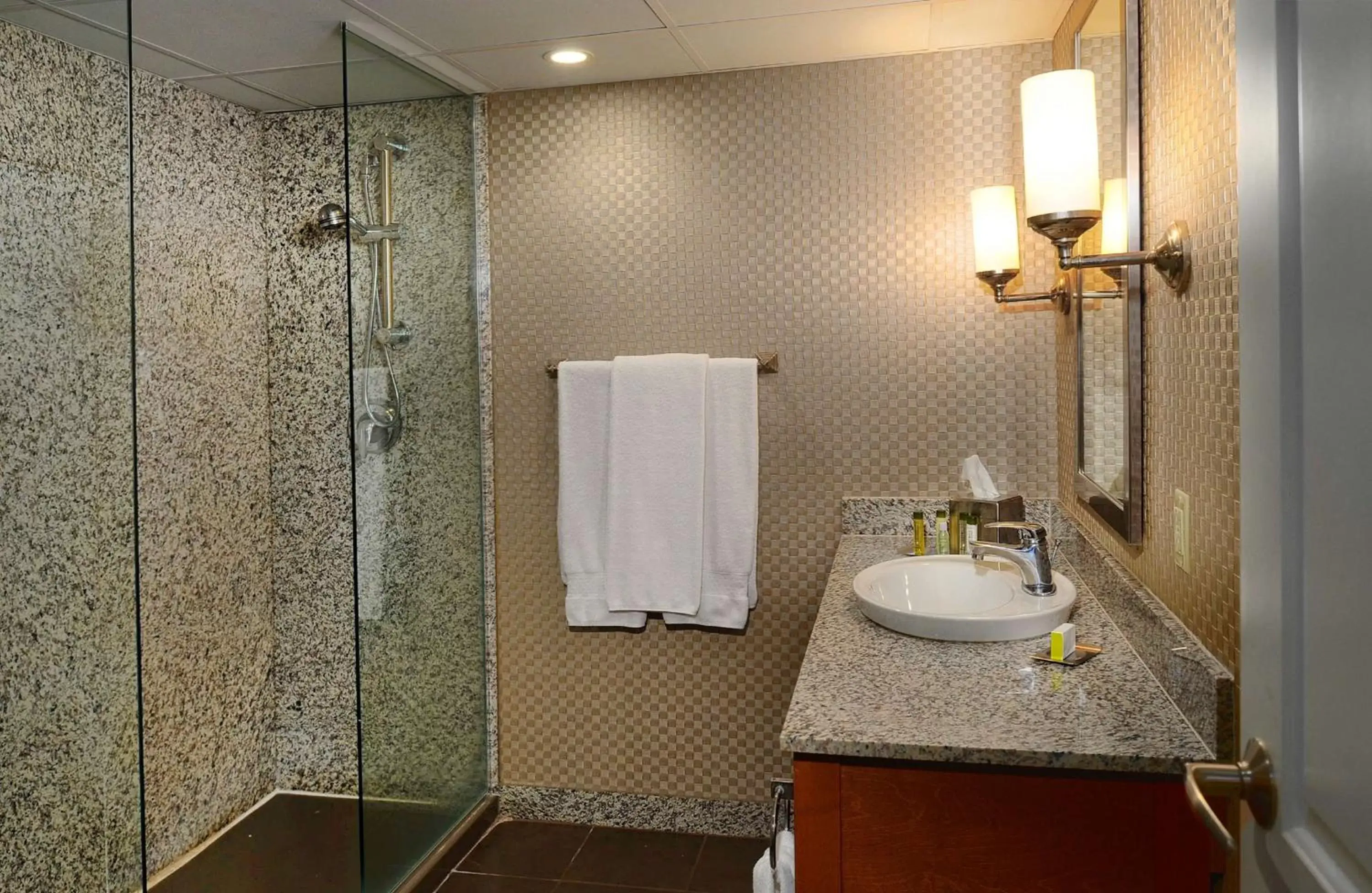 Bathroom in DoubleTree by Hilton St. Louis at Westport