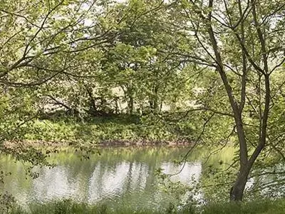 View (from property/room), Natural Landscape in River Bluff Farm Bed and Breakfast