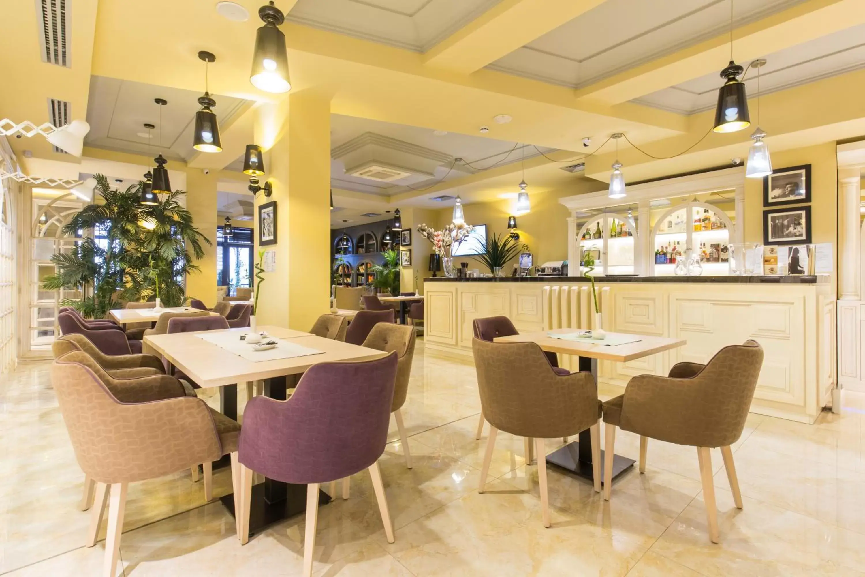 Lounge or bar in Xenon Hotel & SPA Lounge or bar in Xenon Hotel & SPA