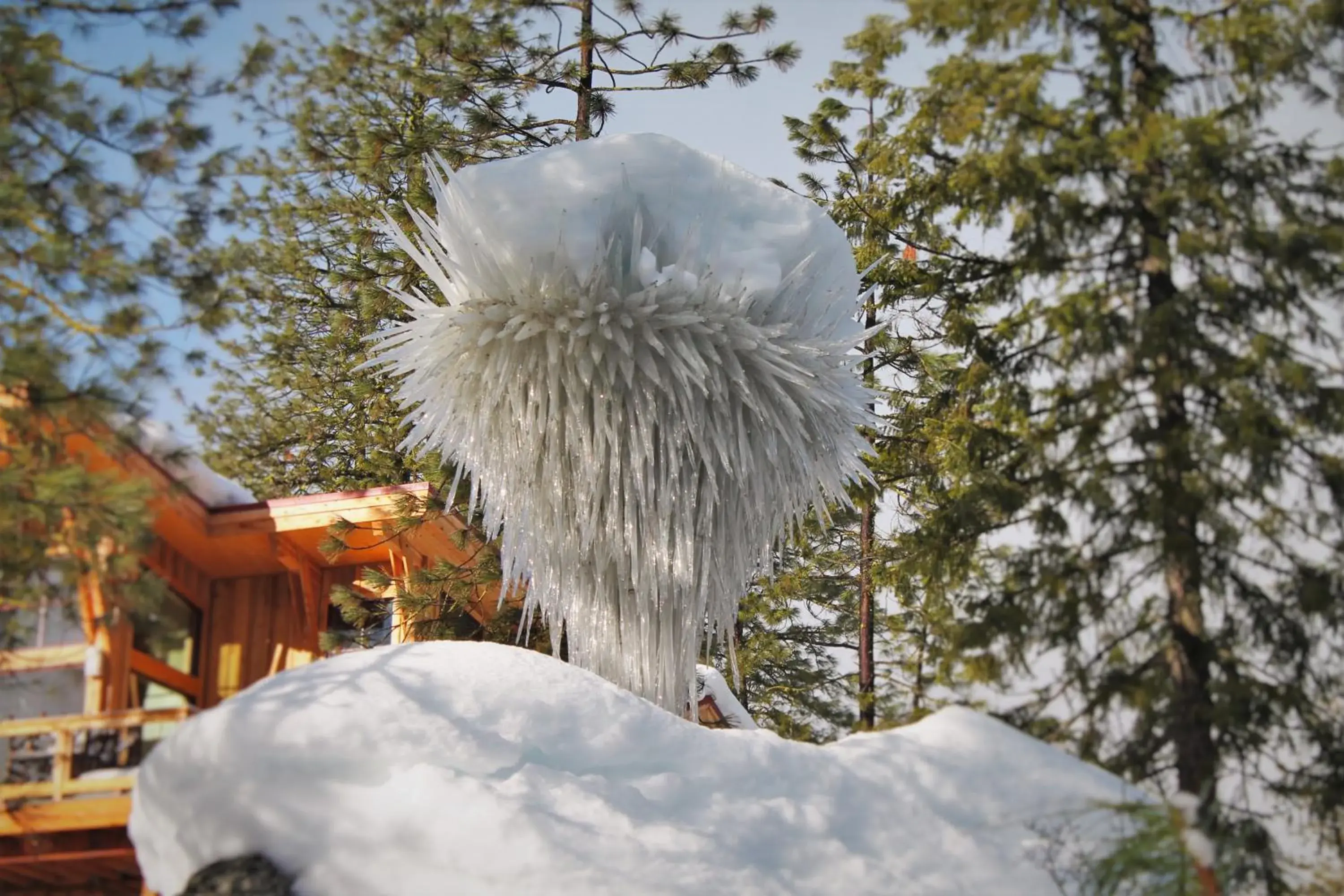 Decorative detail, Winter in Sleeping Lady Mountain Resort