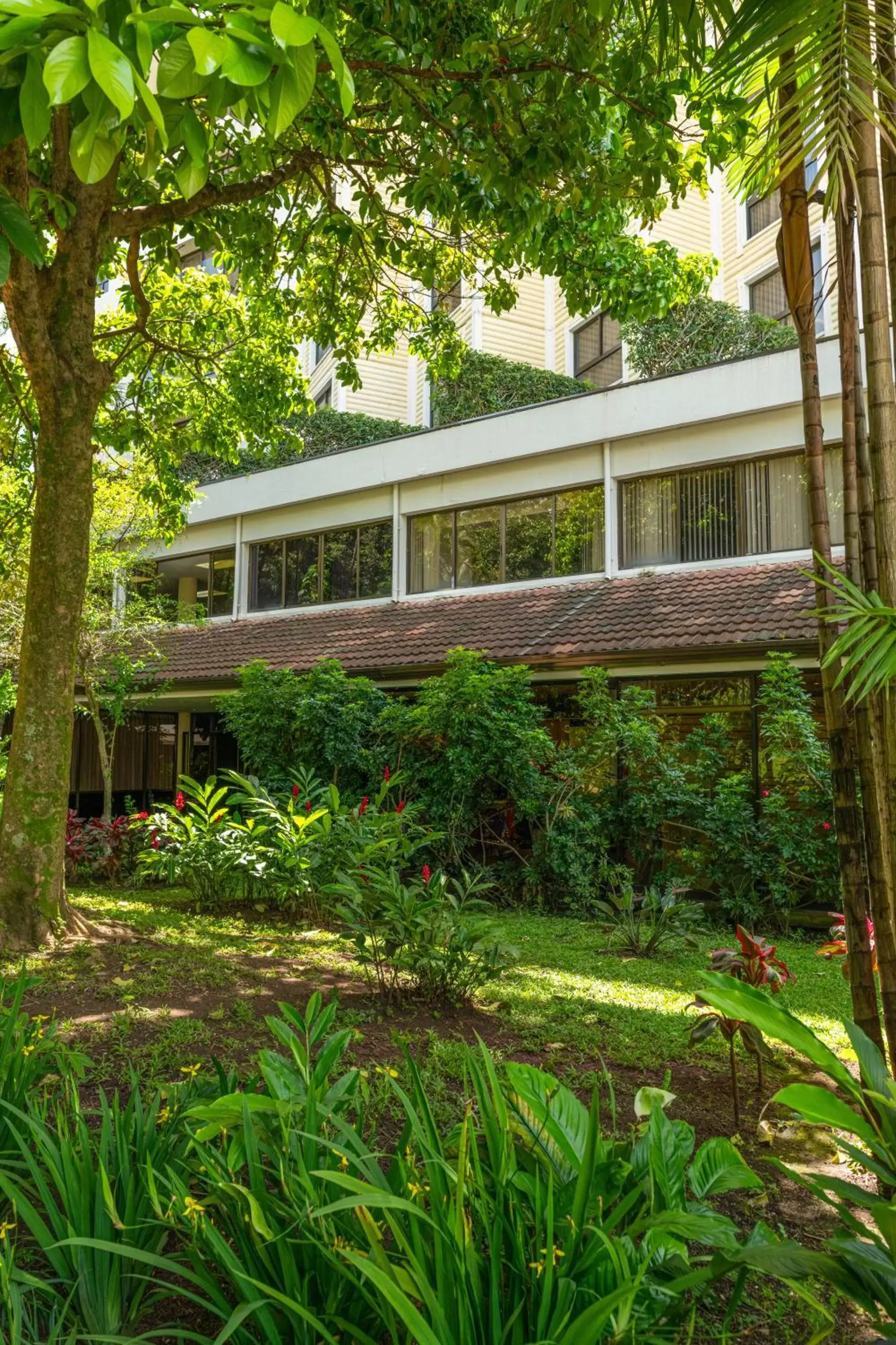 Property Building in Barceló San José