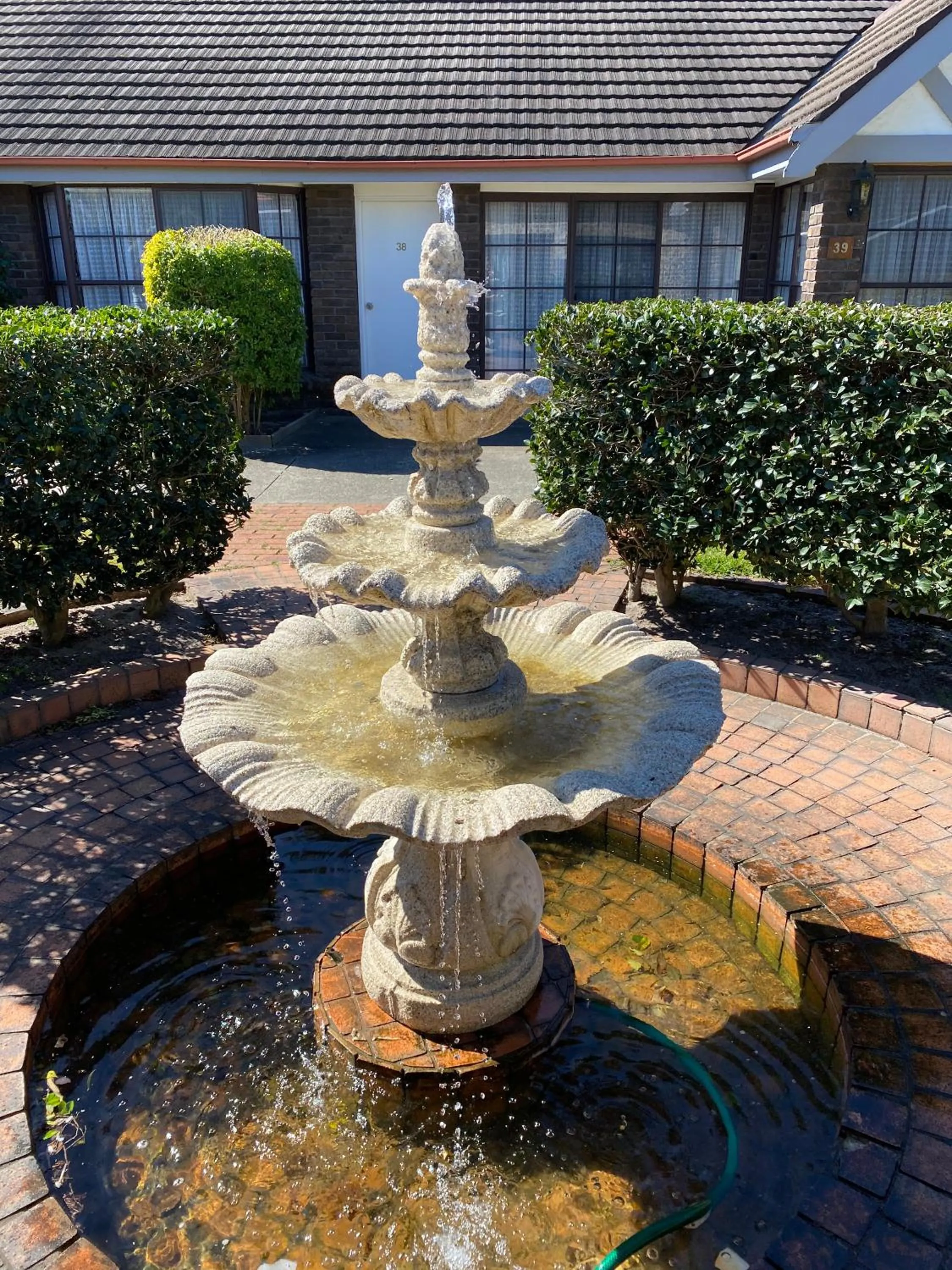 Garden in Sir Francis Drake