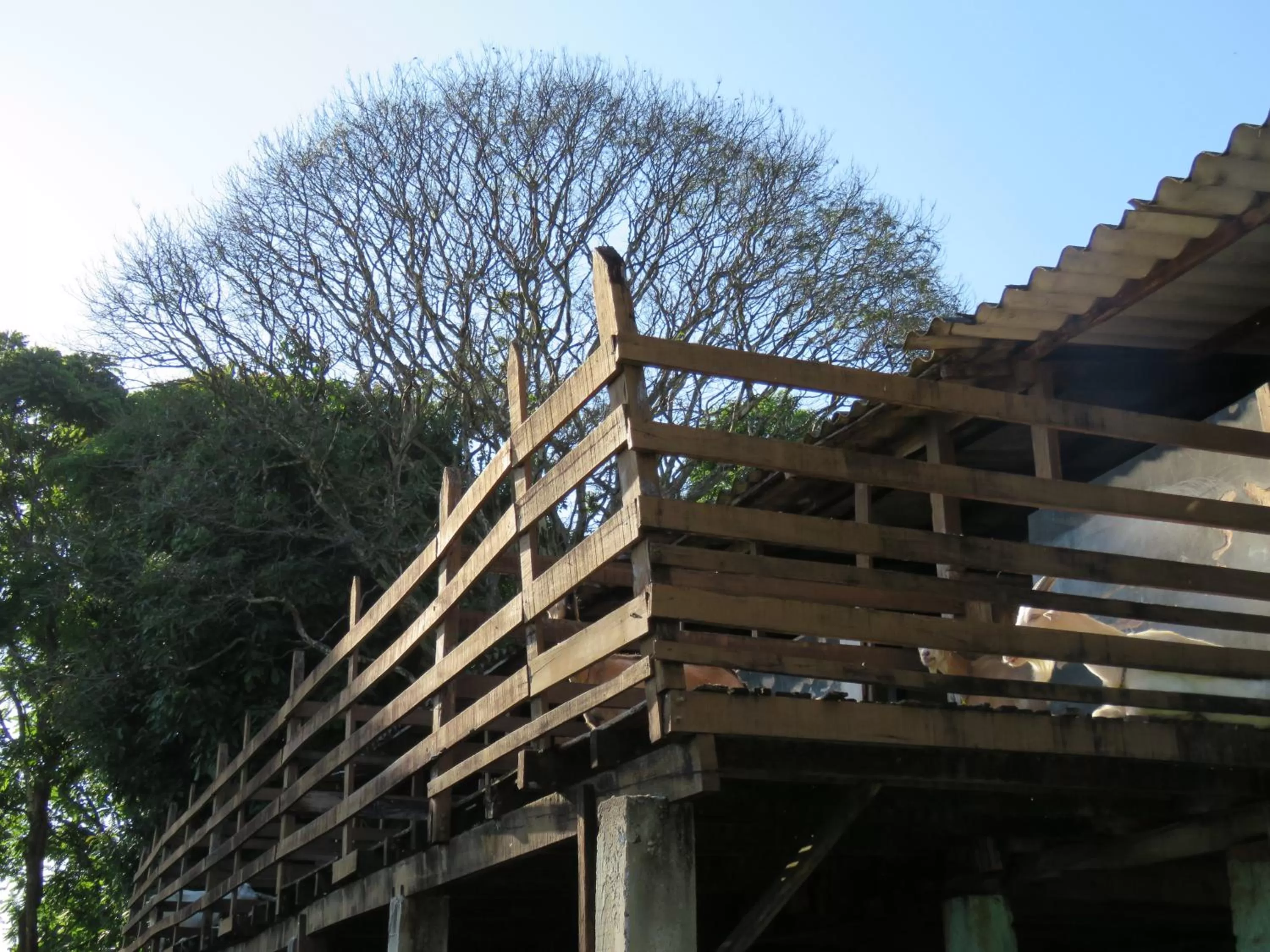 Property Building in Lagoa Seca Hotel Rural