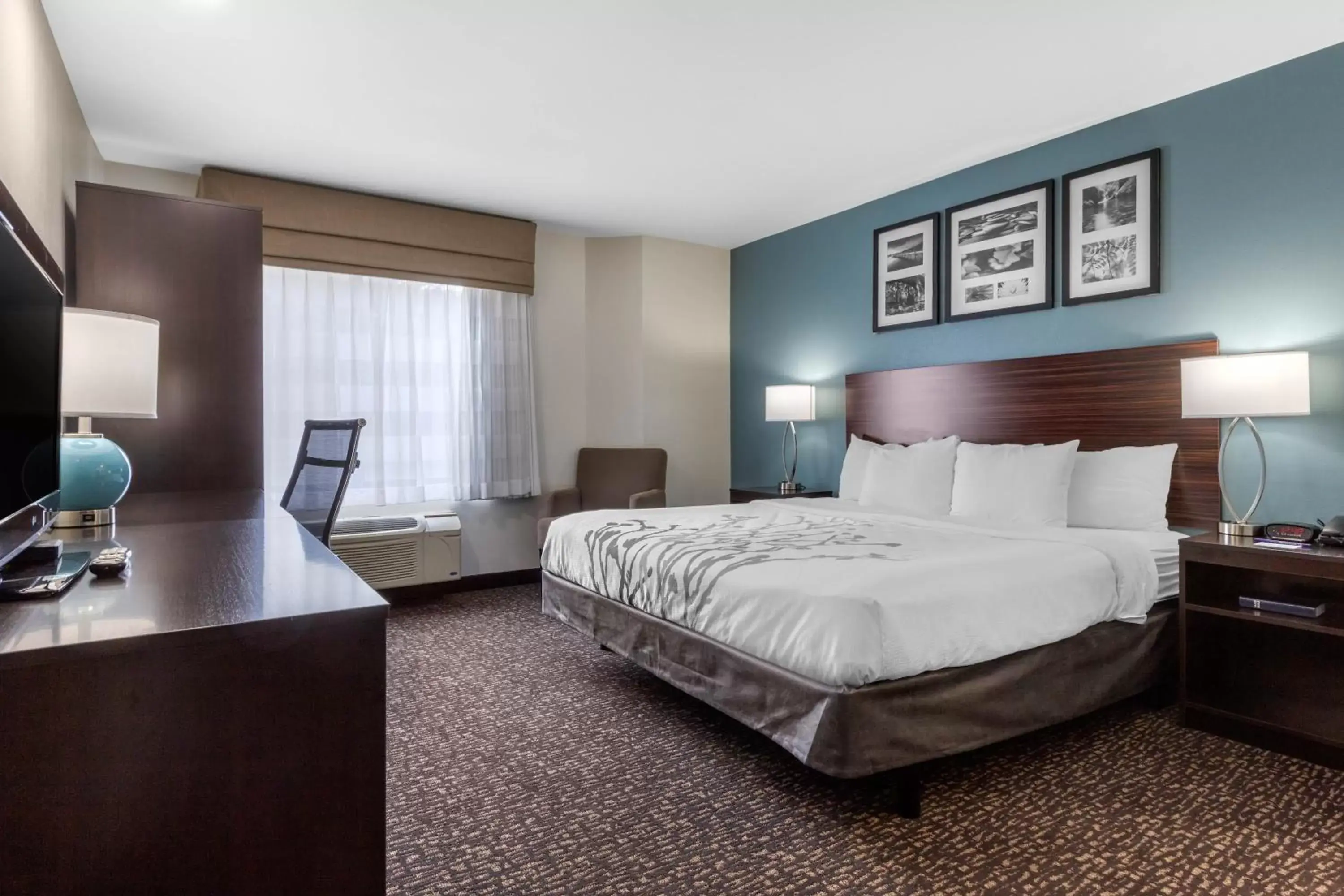 Bedroom in Sleep Inn & Suites Johnson City