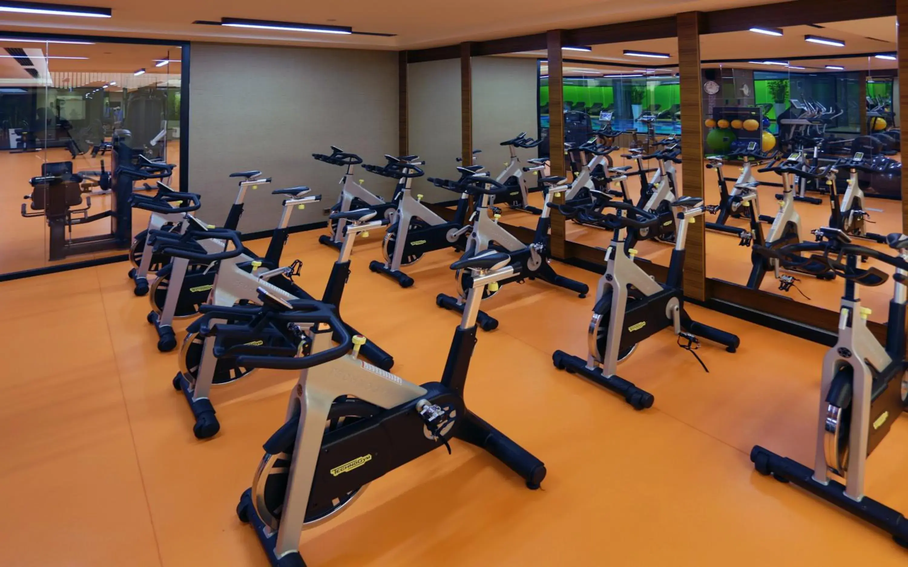 Fitness centre/facilities, Fitness Center/Facilities in Royal Stay Palace Hotel