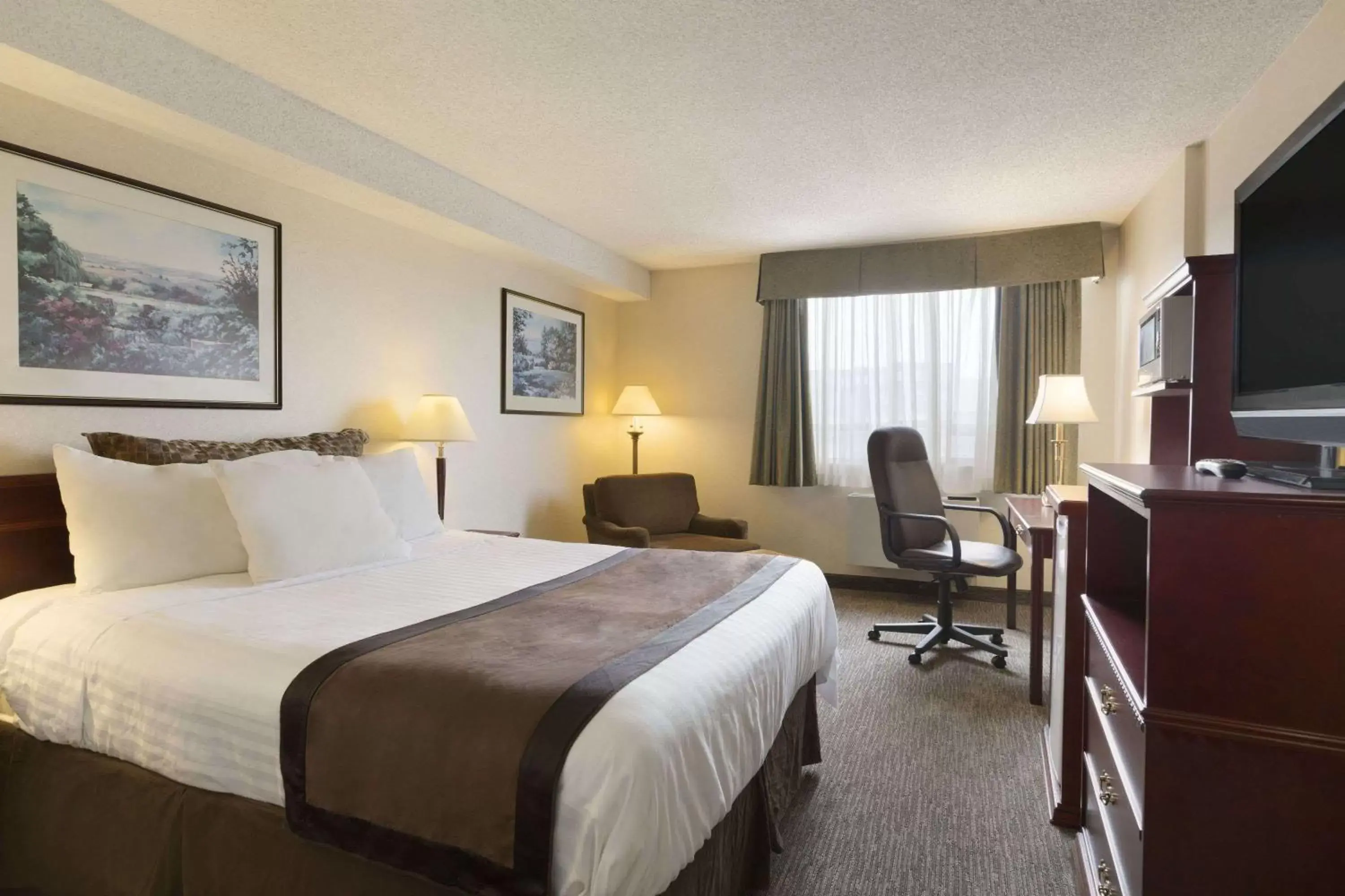 Photo of the whole room in Travelodge Hotel by Wyndham Vancouver Airport