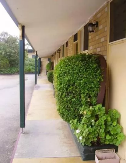 Garden view in Orbost Country Man Motor Inn