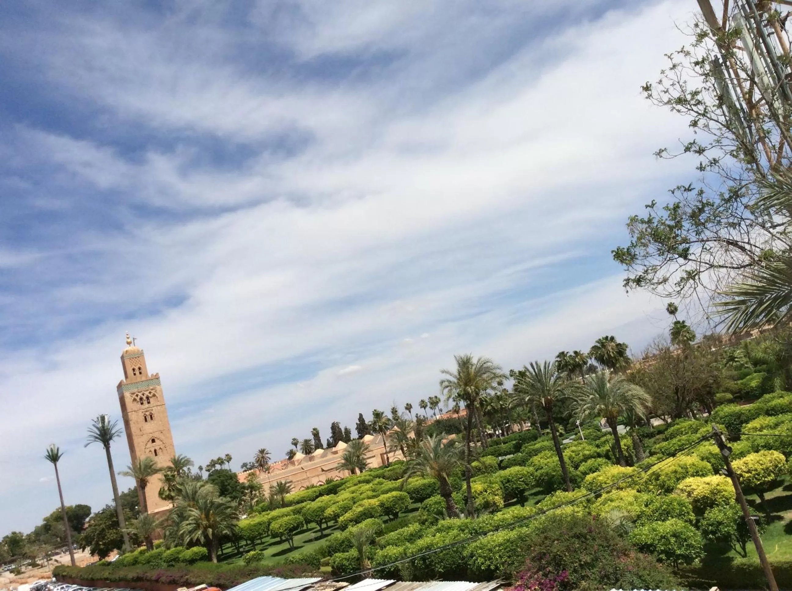 Garden view in Chems Hotel