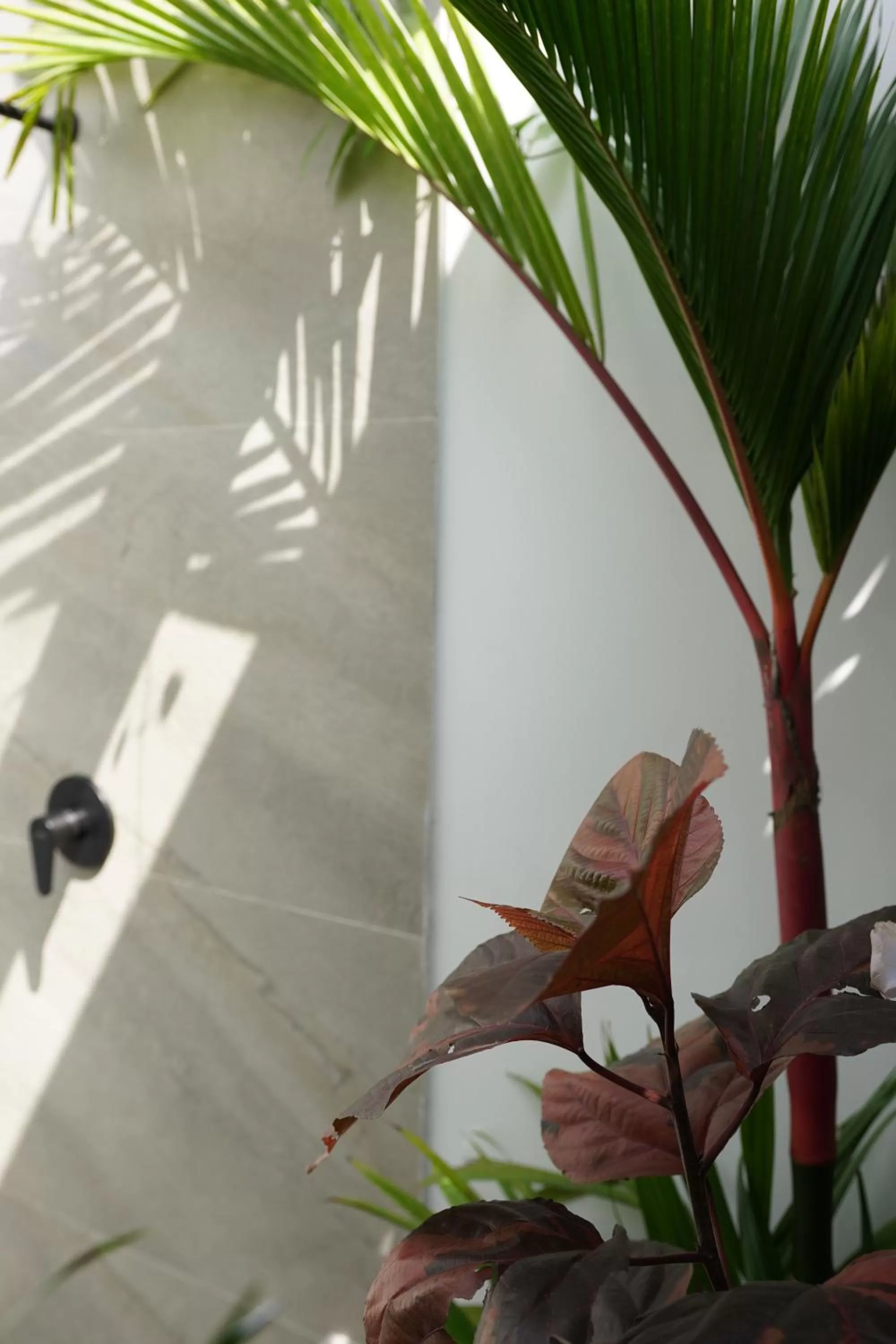 Bathroom in Hotel Chalet El Castillo by Majuva