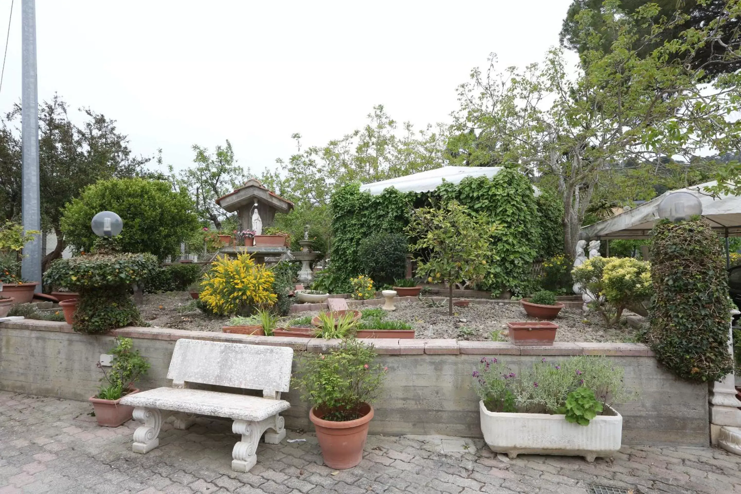 Garden, Patio/Outdoor Area in BeB Vanessa Le Fontanelle