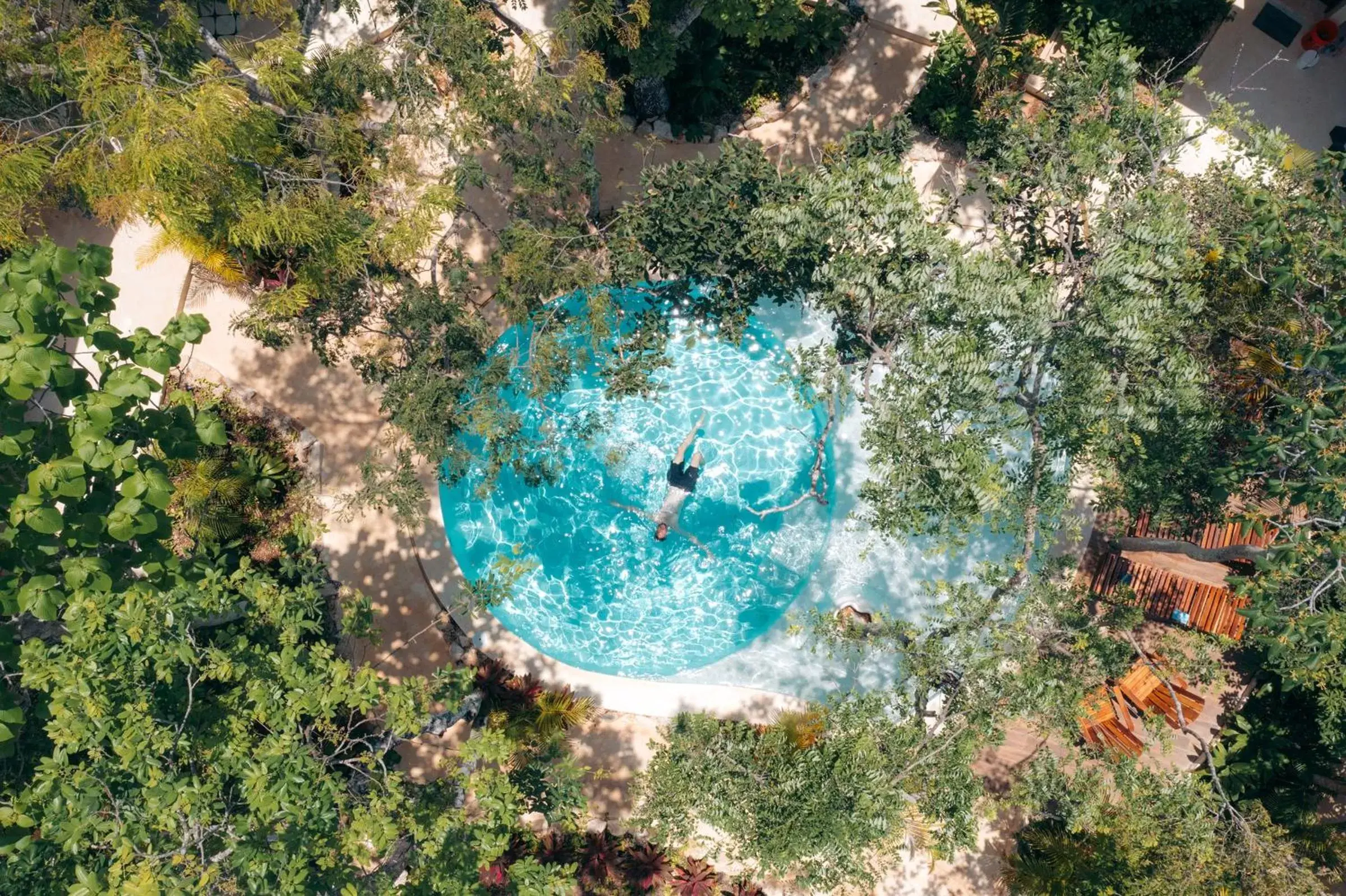 Bird's eye view, Pool View in Suites at TreeTops Tulum