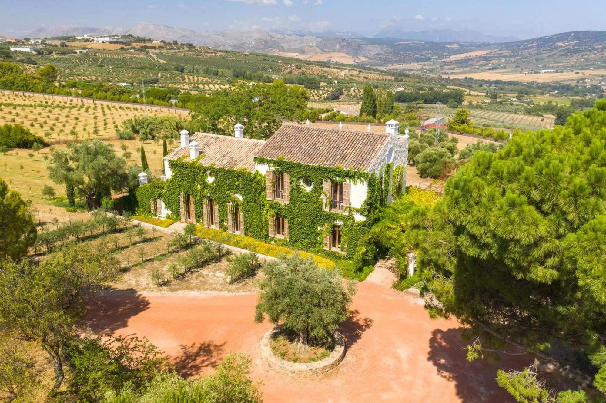 Bird's-eye View in Cortijo LA Organic