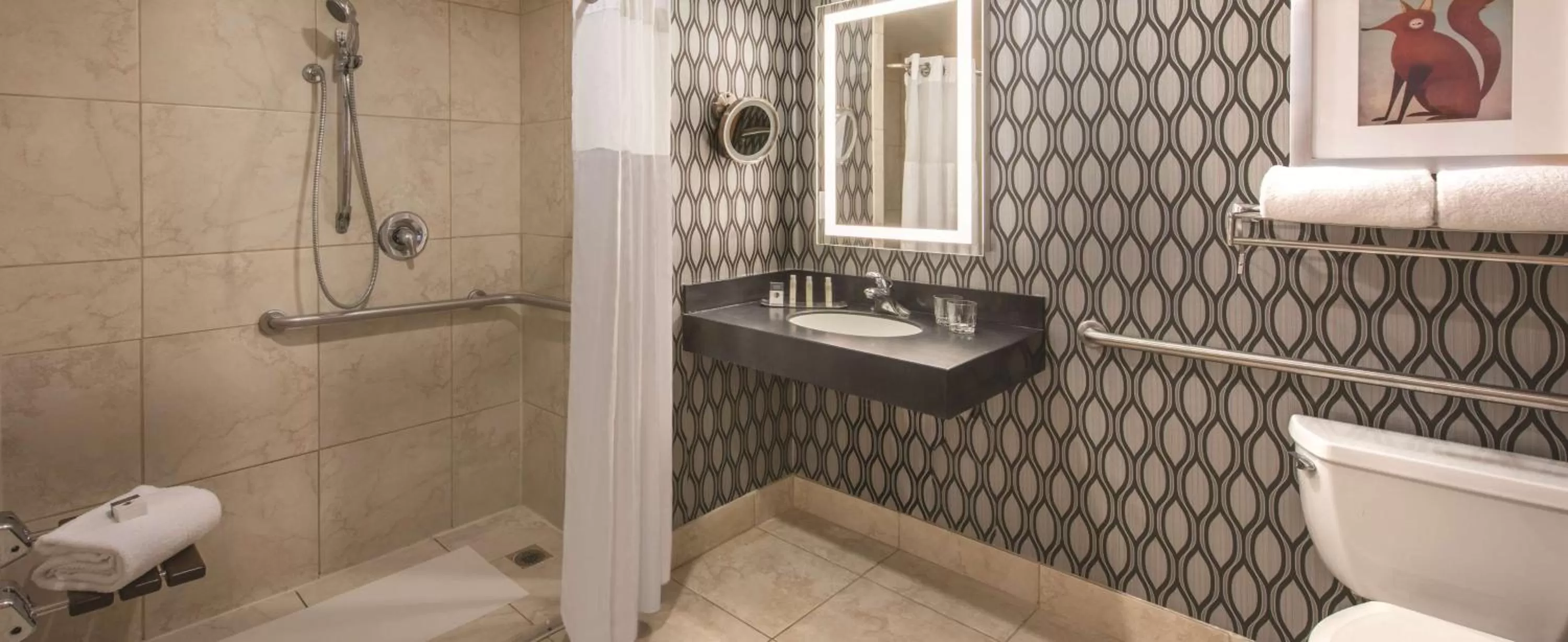 Bathroom in DoubleTree by Hilton Hotel Chicago Wood Dale - Elk Grove