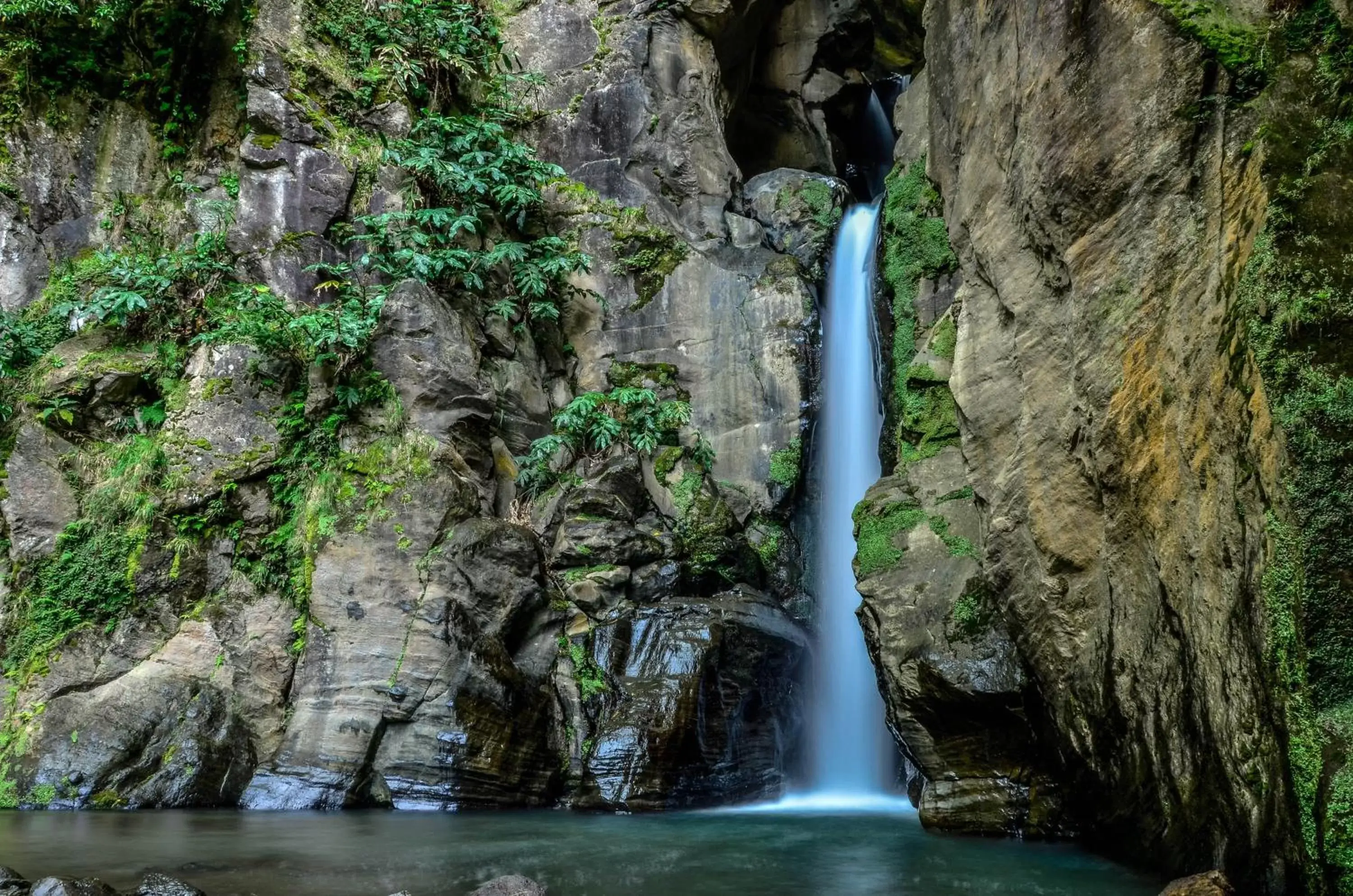 Natural landscape in Hotel Verde Mar & SPA