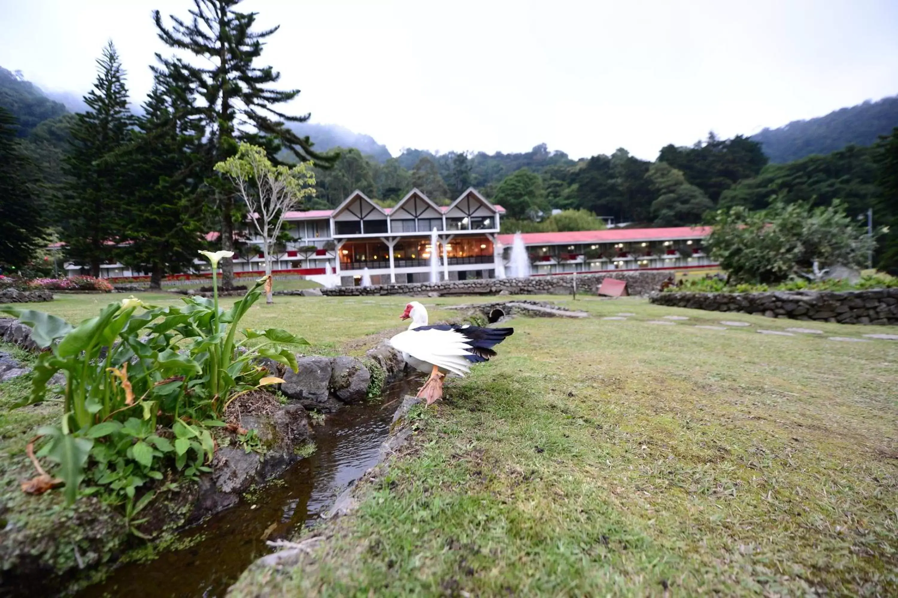 Off site, Property Building in Hotel Faranda Bambito Chiriquí