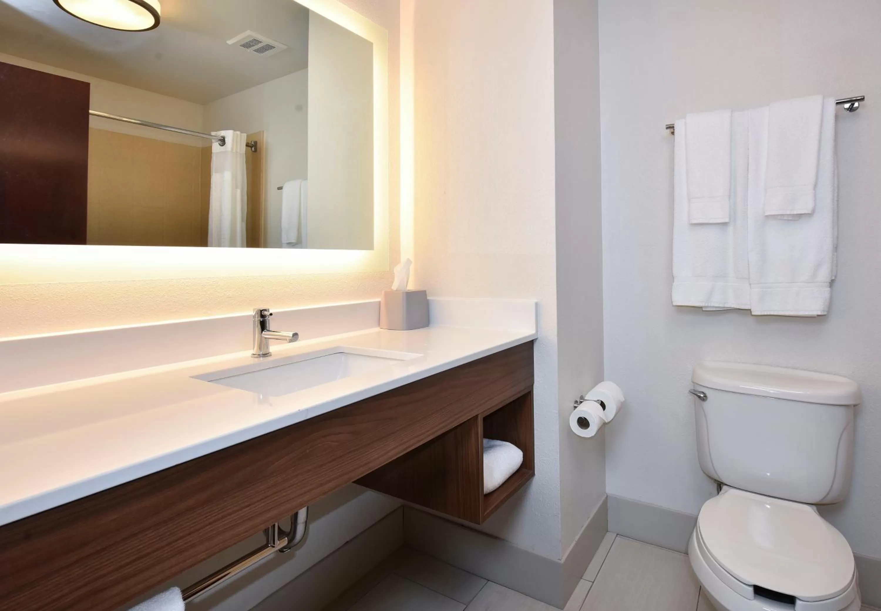 Bathroom in Holiday Inn Express Hotel & Suites Selma, an IHG Hotel