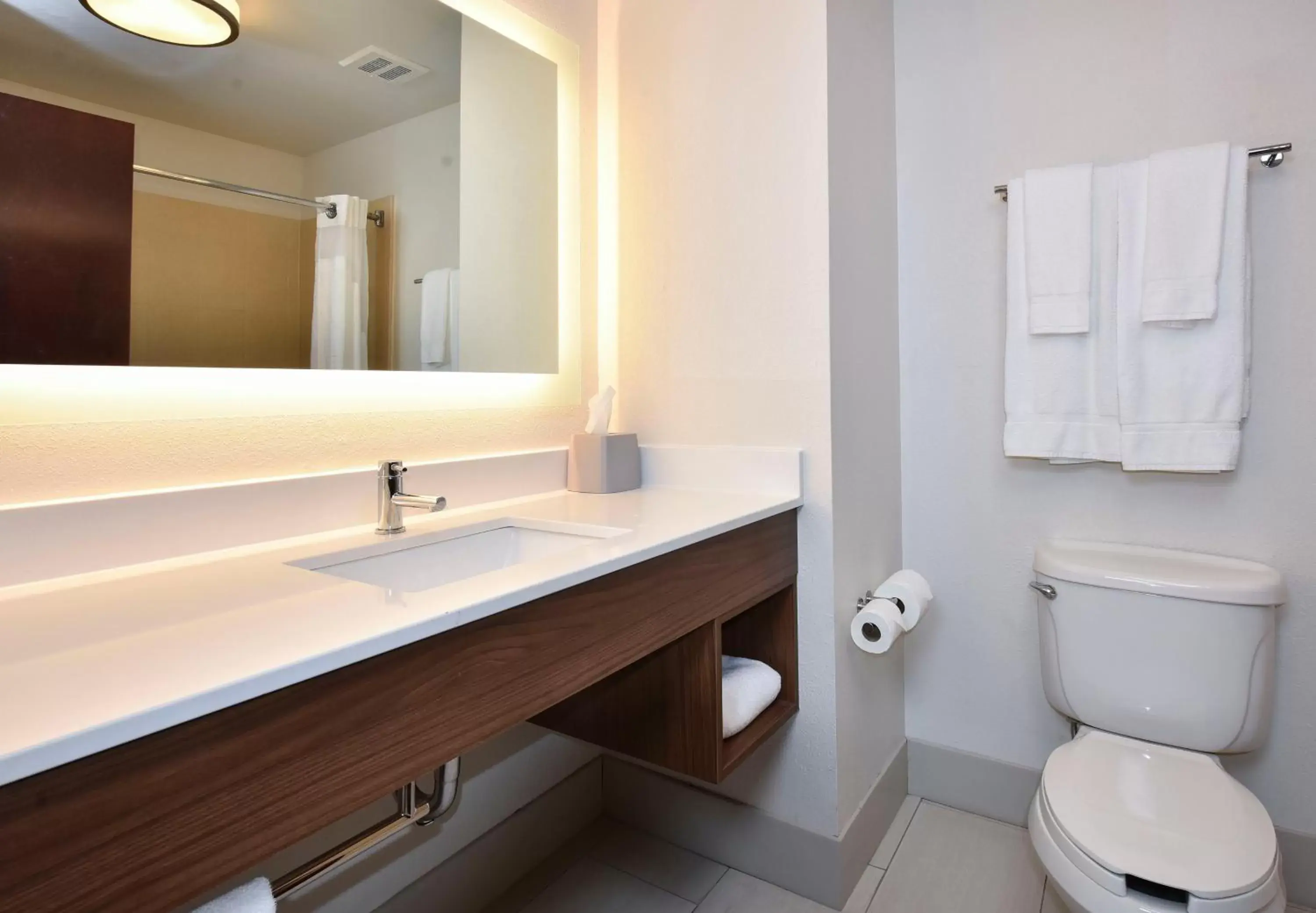 Standard King Room in Holiday Inn Express Hotel & Suites Selma, an IHG Hotel Standard King Room in Holiday Inn Express Hotel & Suites Selma, an IHG Hotel