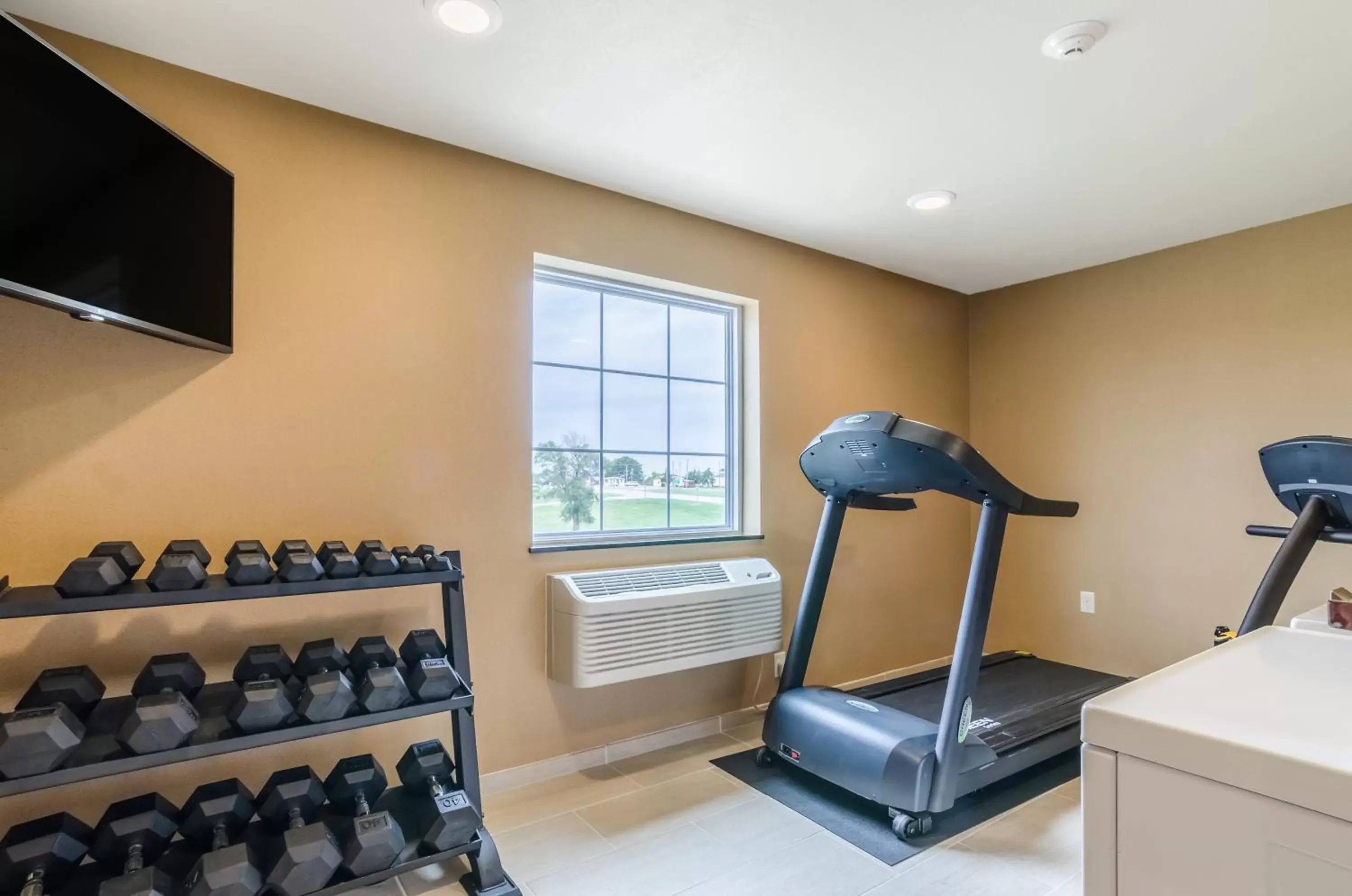 Fitness centre/facilities, Fitness Center/Facilities in Cobblestone Inn & Suites - Oberlin