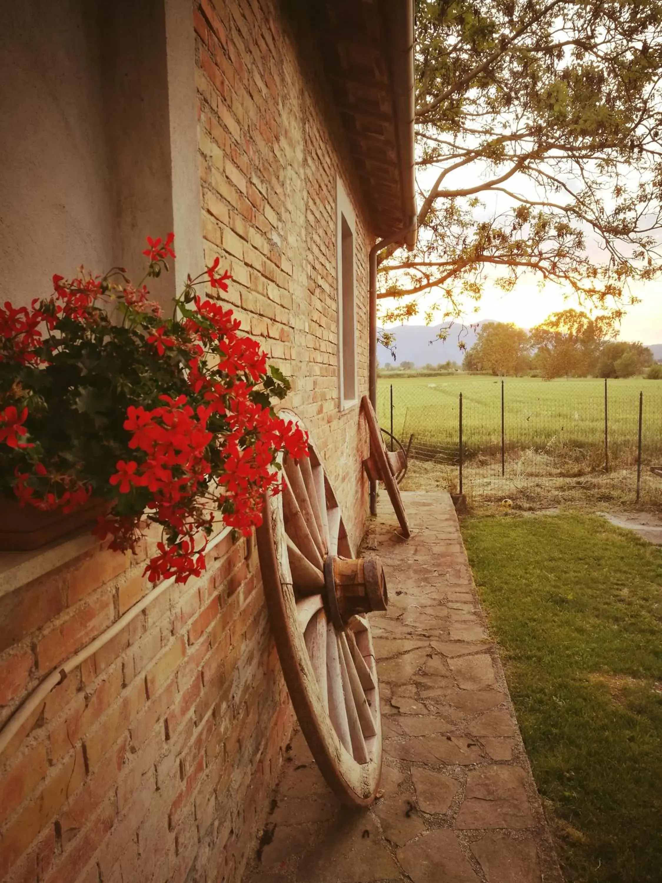 Garden in Il Casale dei Nonni