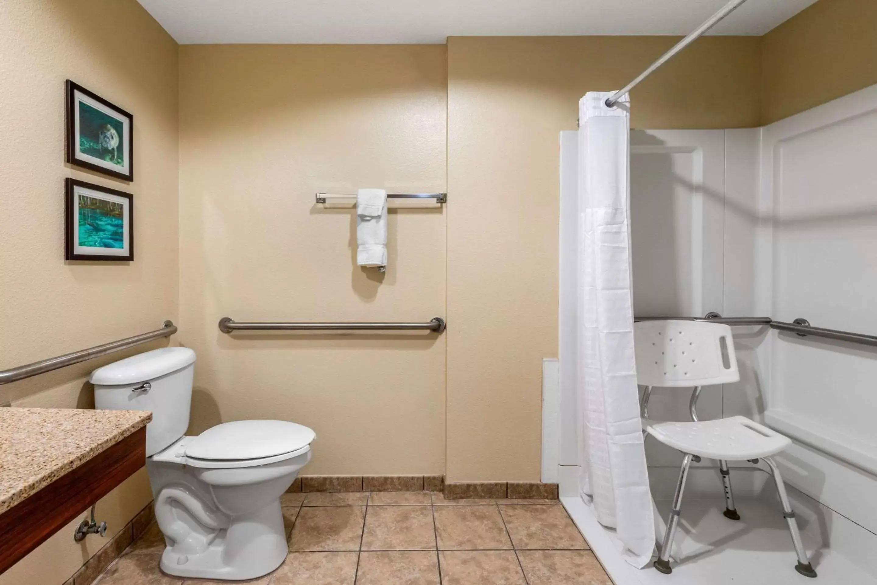 Photo of the whole room, Bathroom in Comfort Inn & Suites Wildwood – The Villages