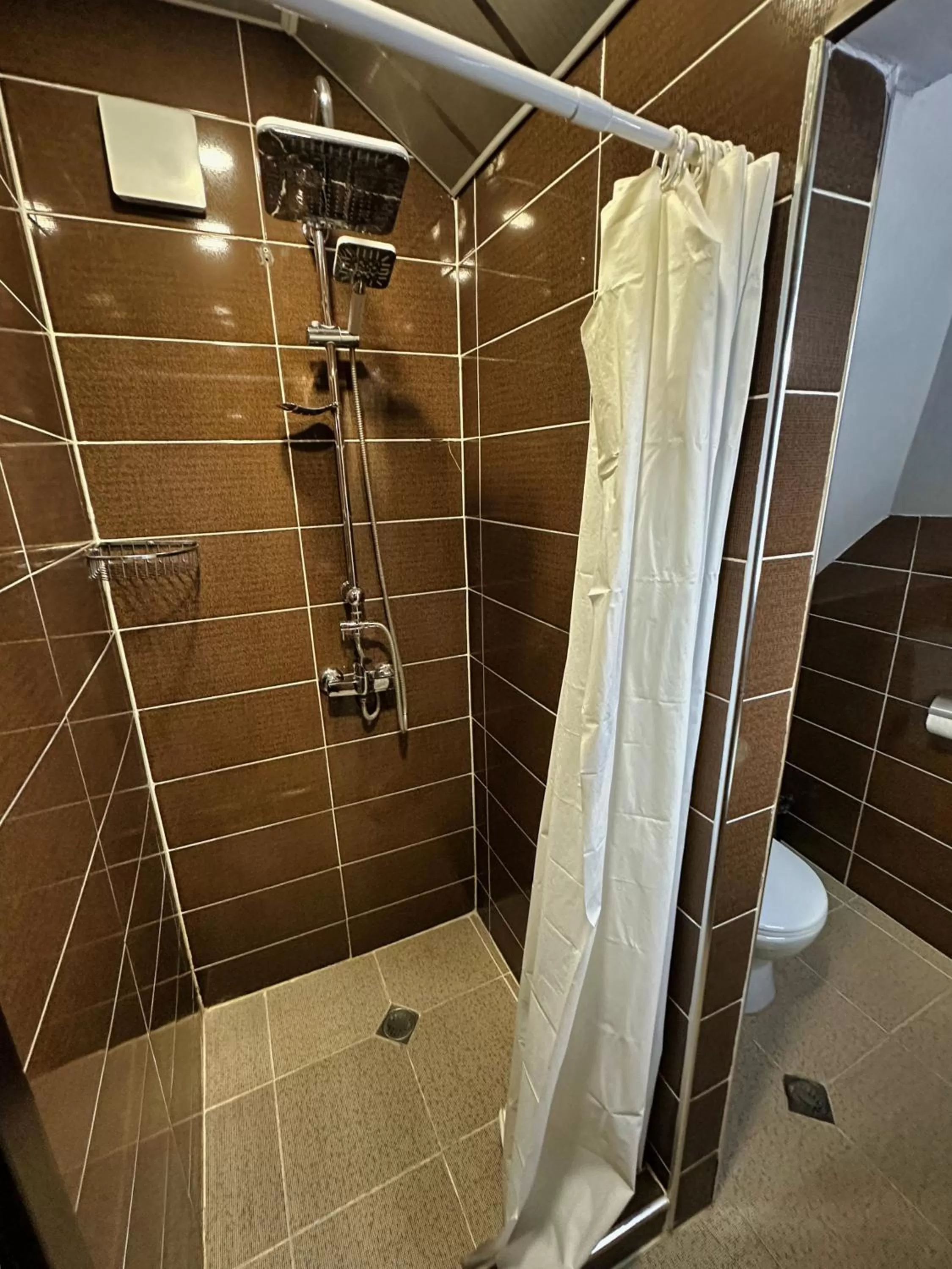 Toilet, Bathroom in Metekhi View Hotel