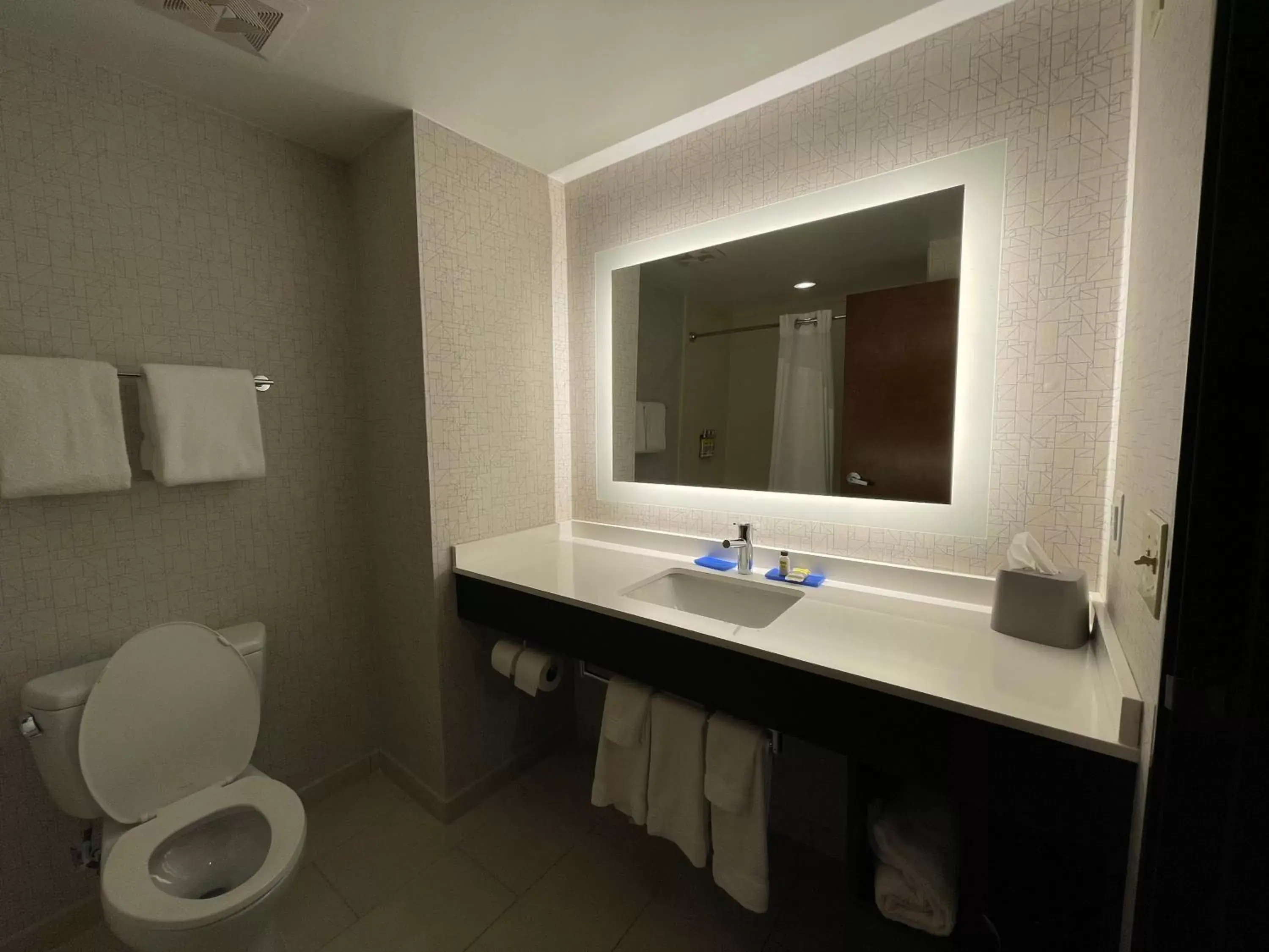 Bathroom in Holiday Inn Express & Suites Columbia - East Elkridge, Jessup an IHG Hotel