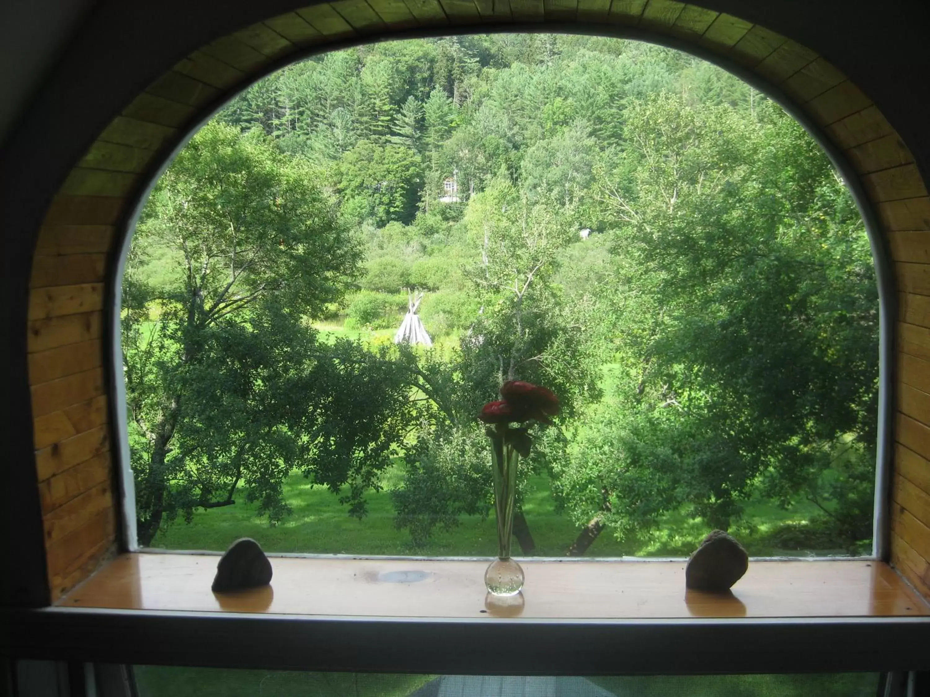 Garden View in Mountain Valley Retreat