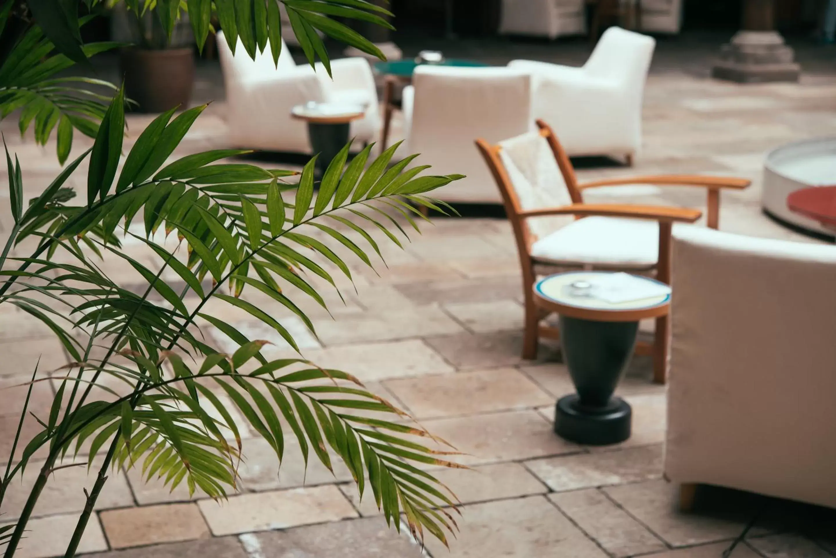 Patio in Hotel San Roque