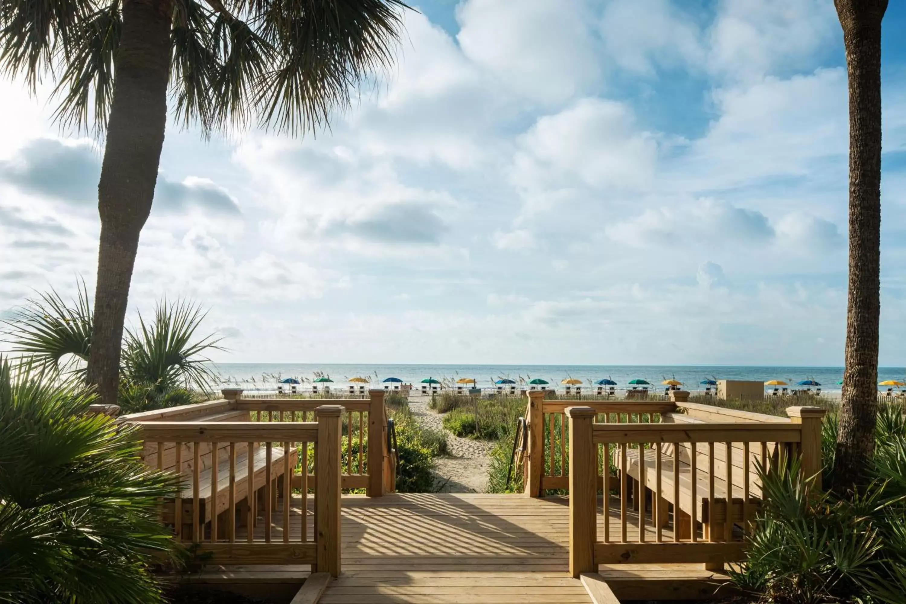 Beach in SpringHill Suites by Marriott Myrtle Beach Oceanfront