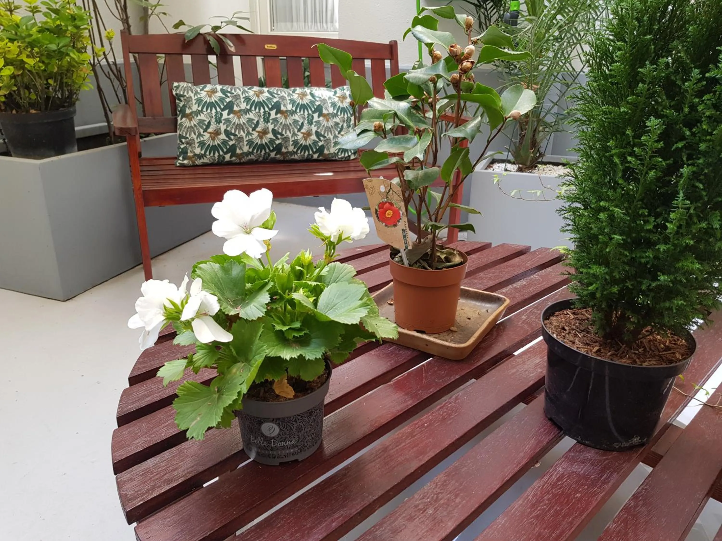 Garden view in HOTEL ALISON