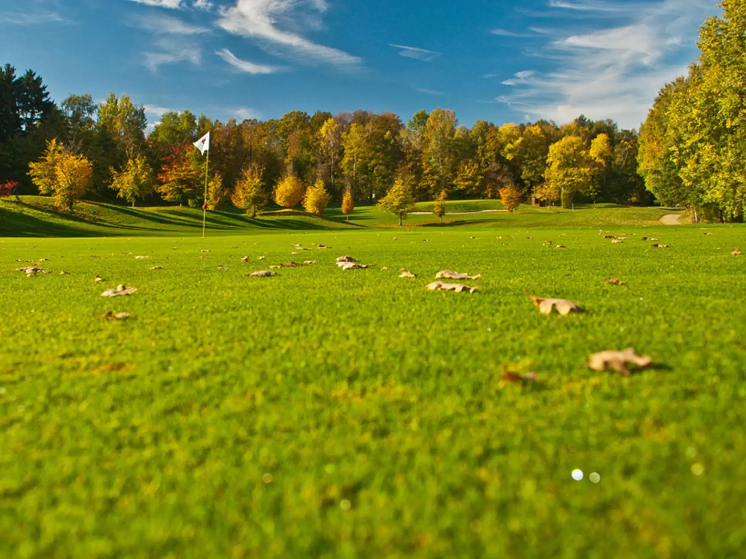 Area and facilities in IDINGSHOF Hotel & Restaurant