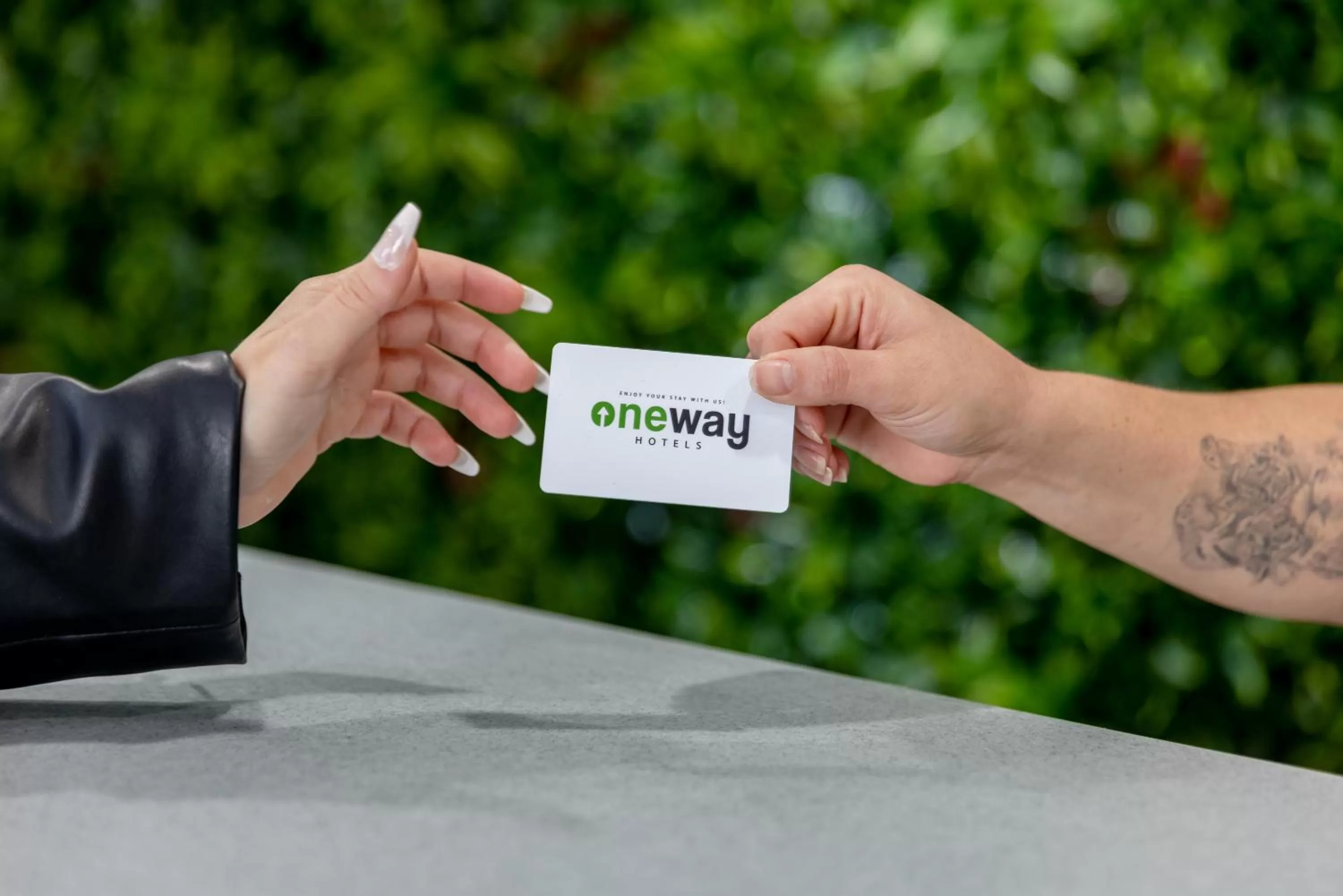 Logo/Certificate/Sign in Oneway Savannah