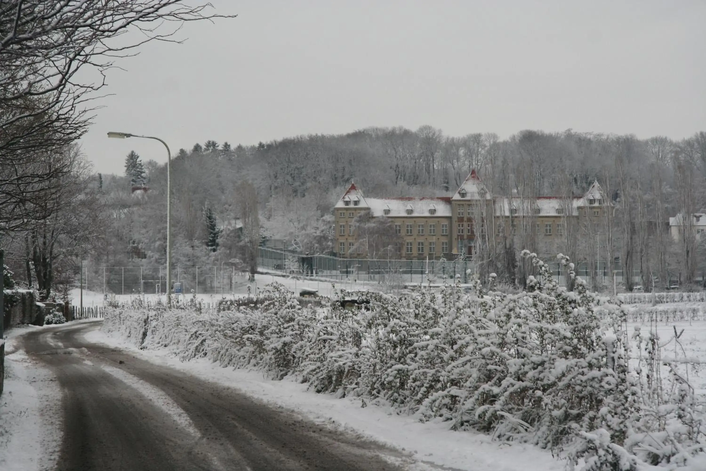 Natural landscape, Winter in Hotel Restaurant in den Hoof