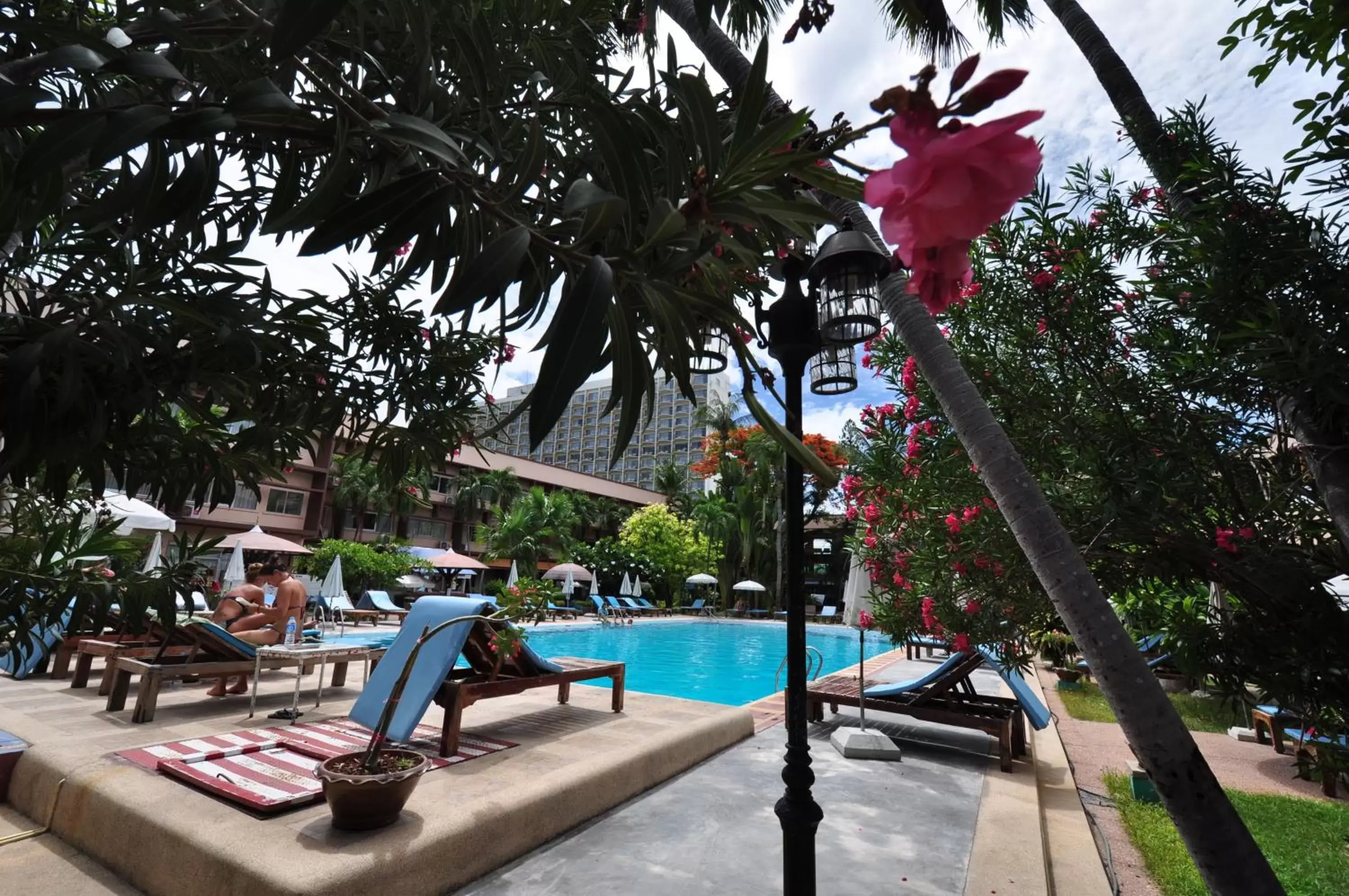 Garden, Swimming Pool in Basaya Beach Hotel & Resort