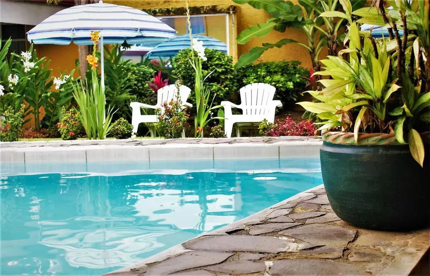 Patio, Swimming Pool in Hotel Puerta del Sol - San Jose Airport