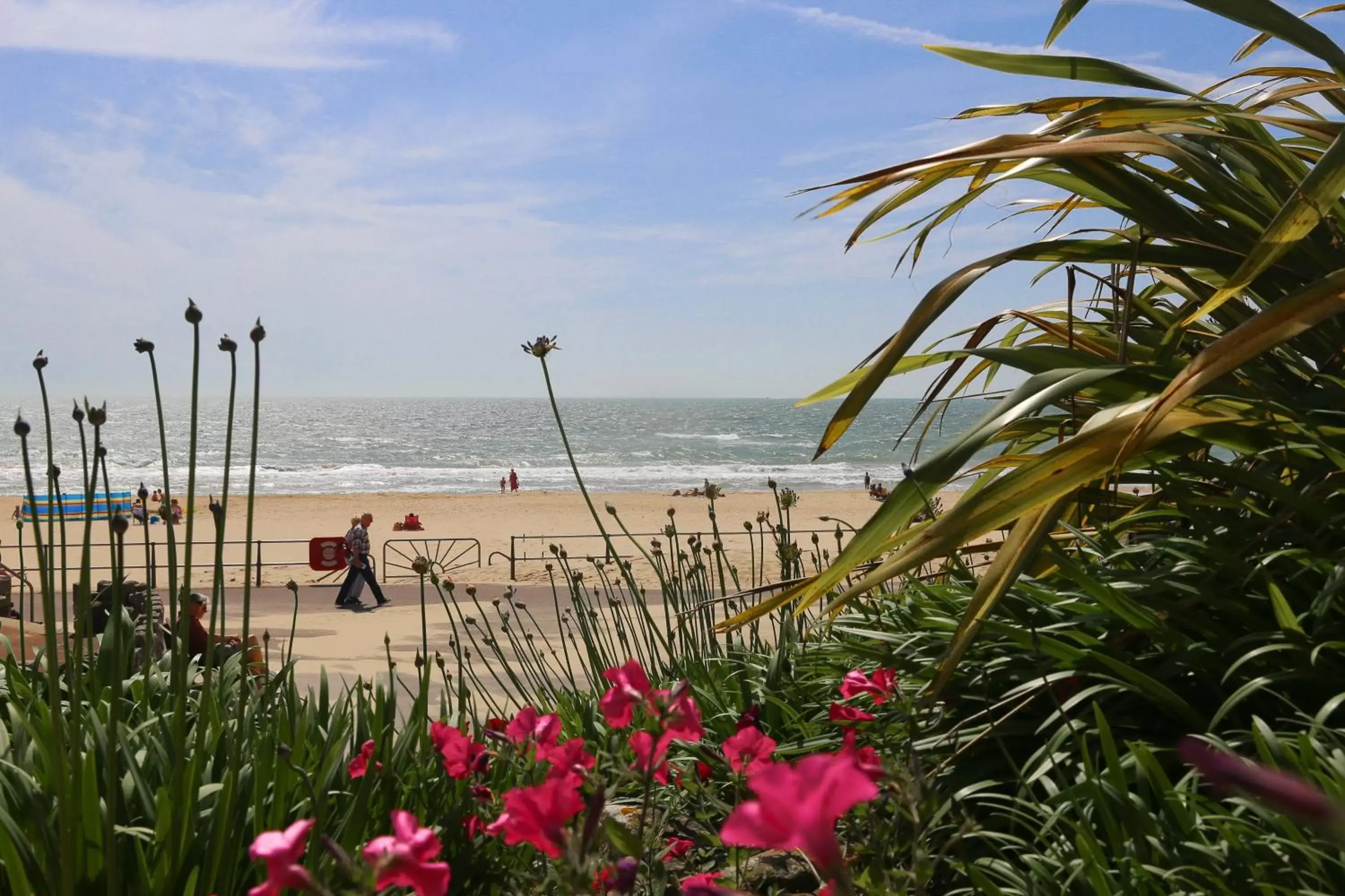 Beach in The Canford