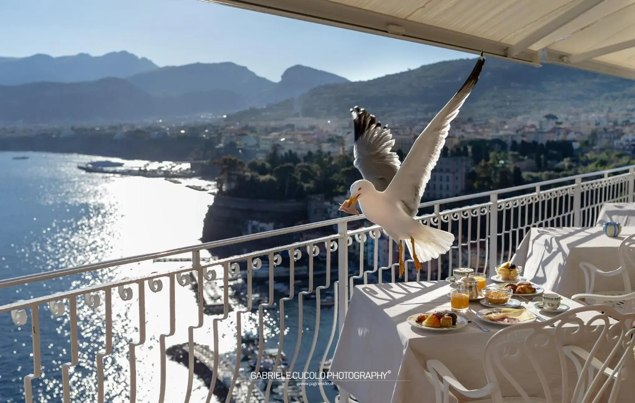 Balcony/Terrace in Hotel Belair