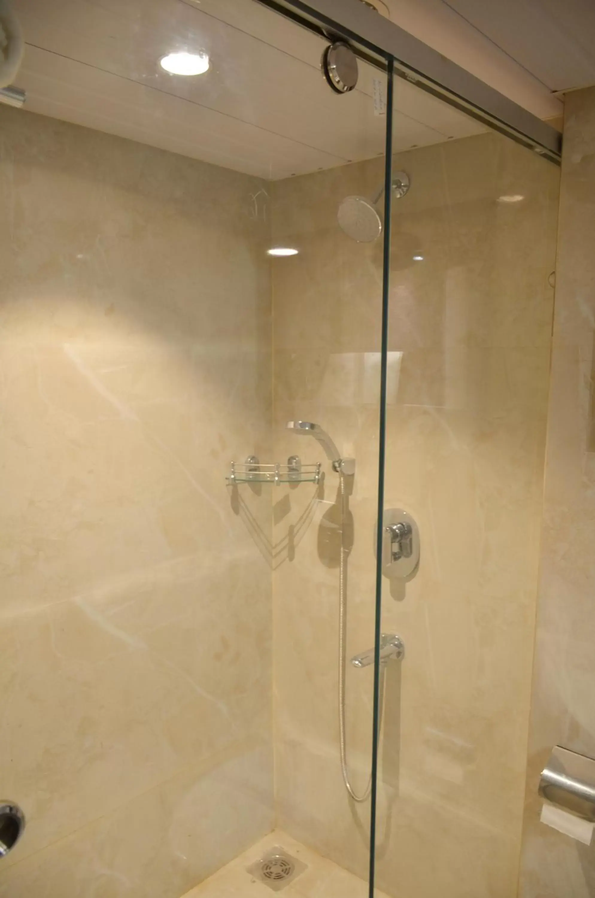 Shower, Bathroom in Hotel Radiance