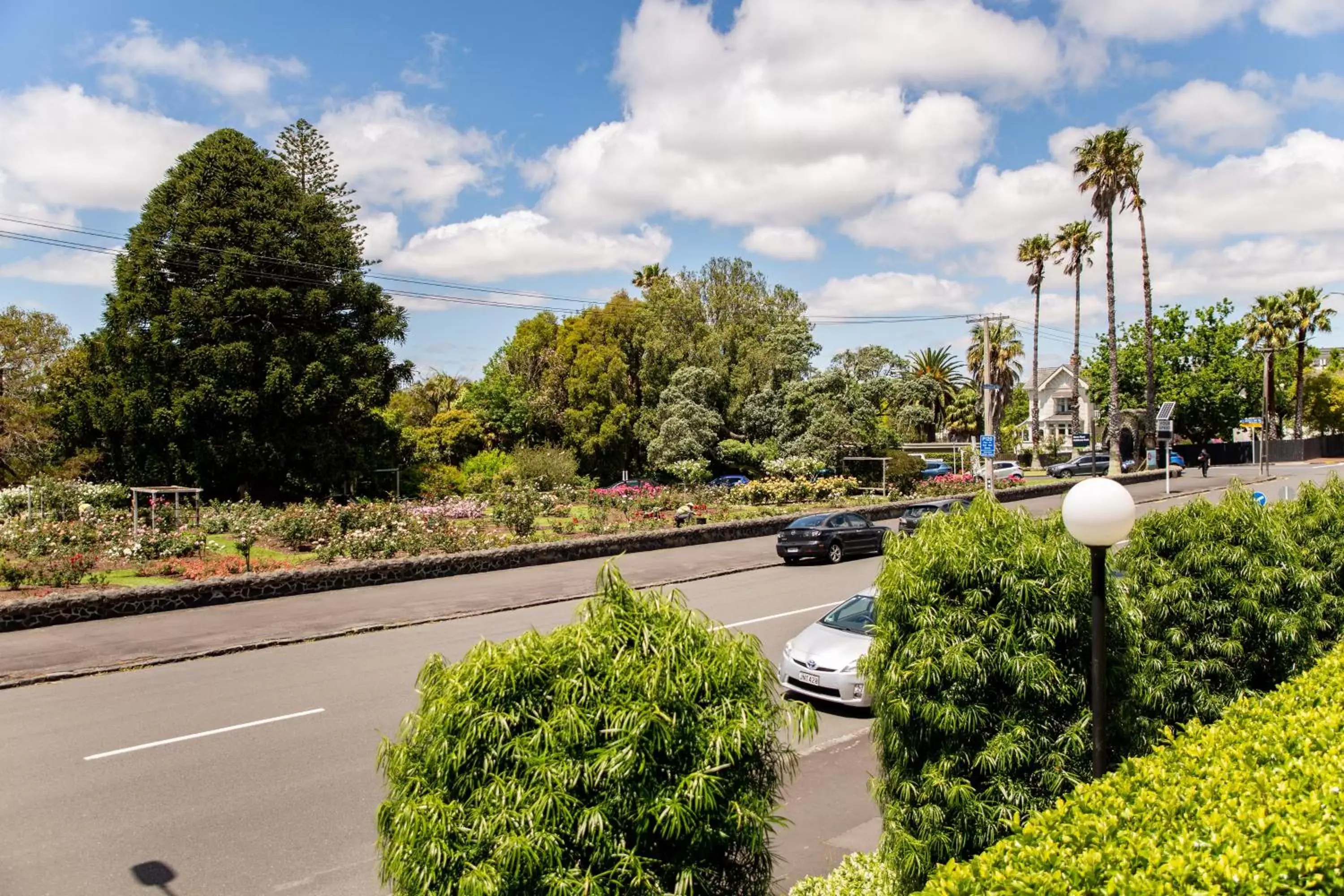 Garden view in Auckland Rose Park Hotel