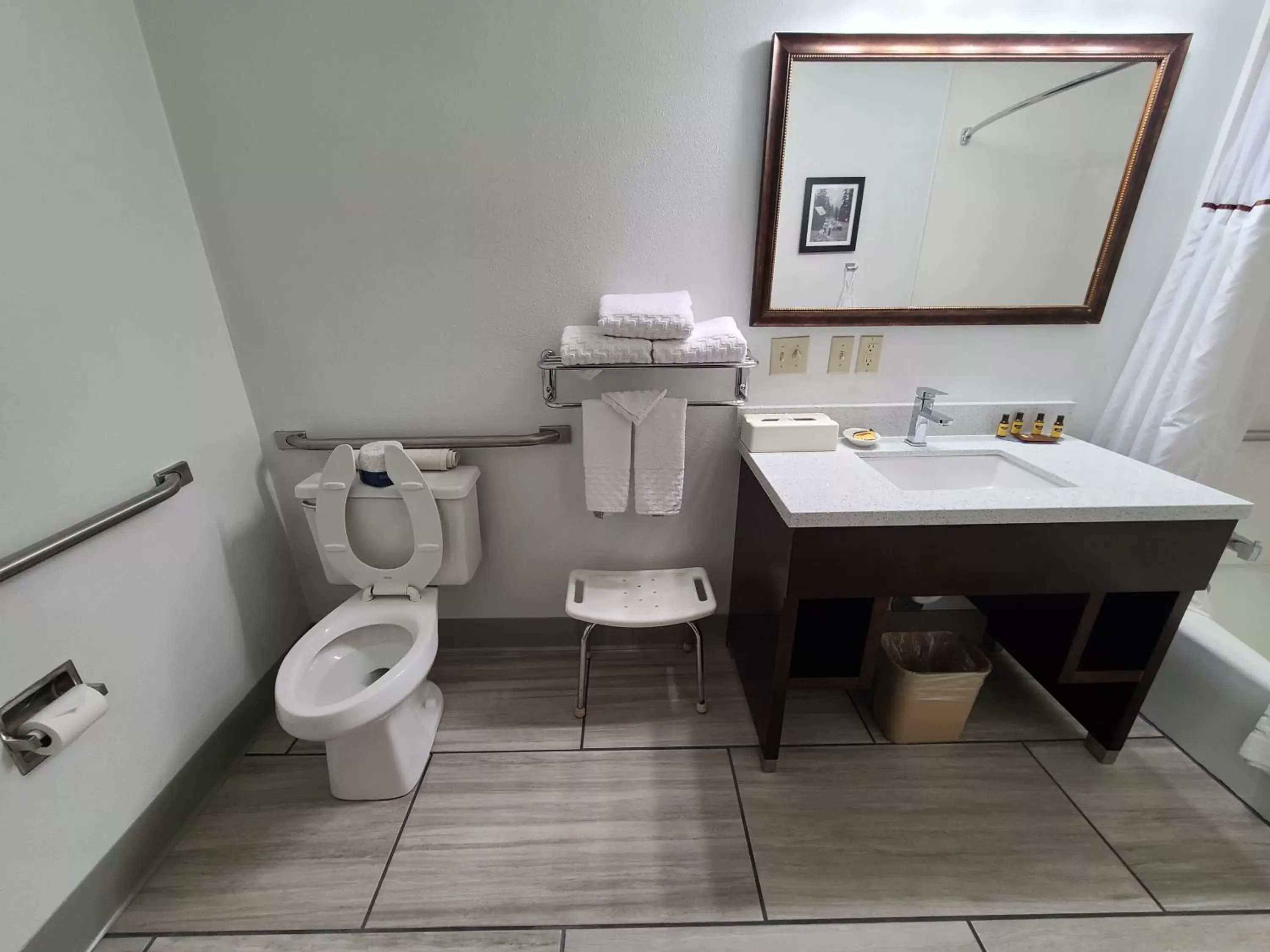 Toilet, Bathroom in Best Western Plus Rio Grande Inn