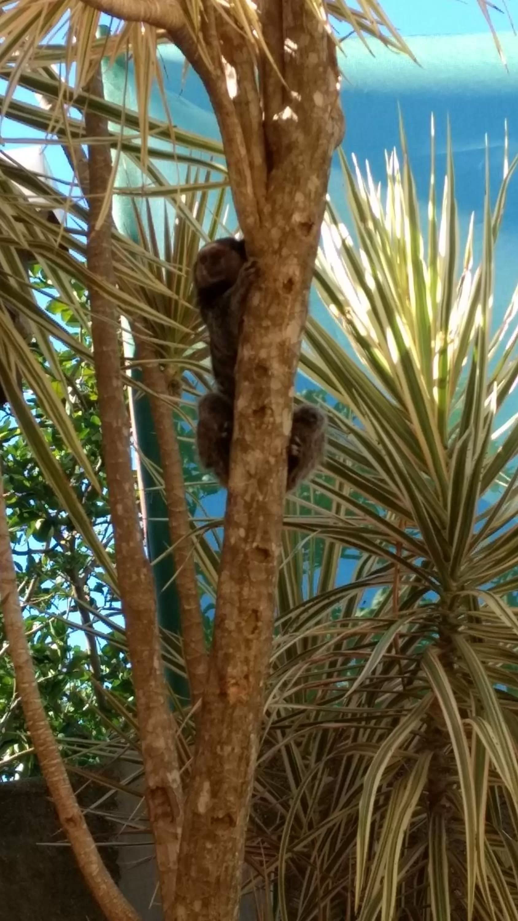 Pousada Santa Genoveva campeche