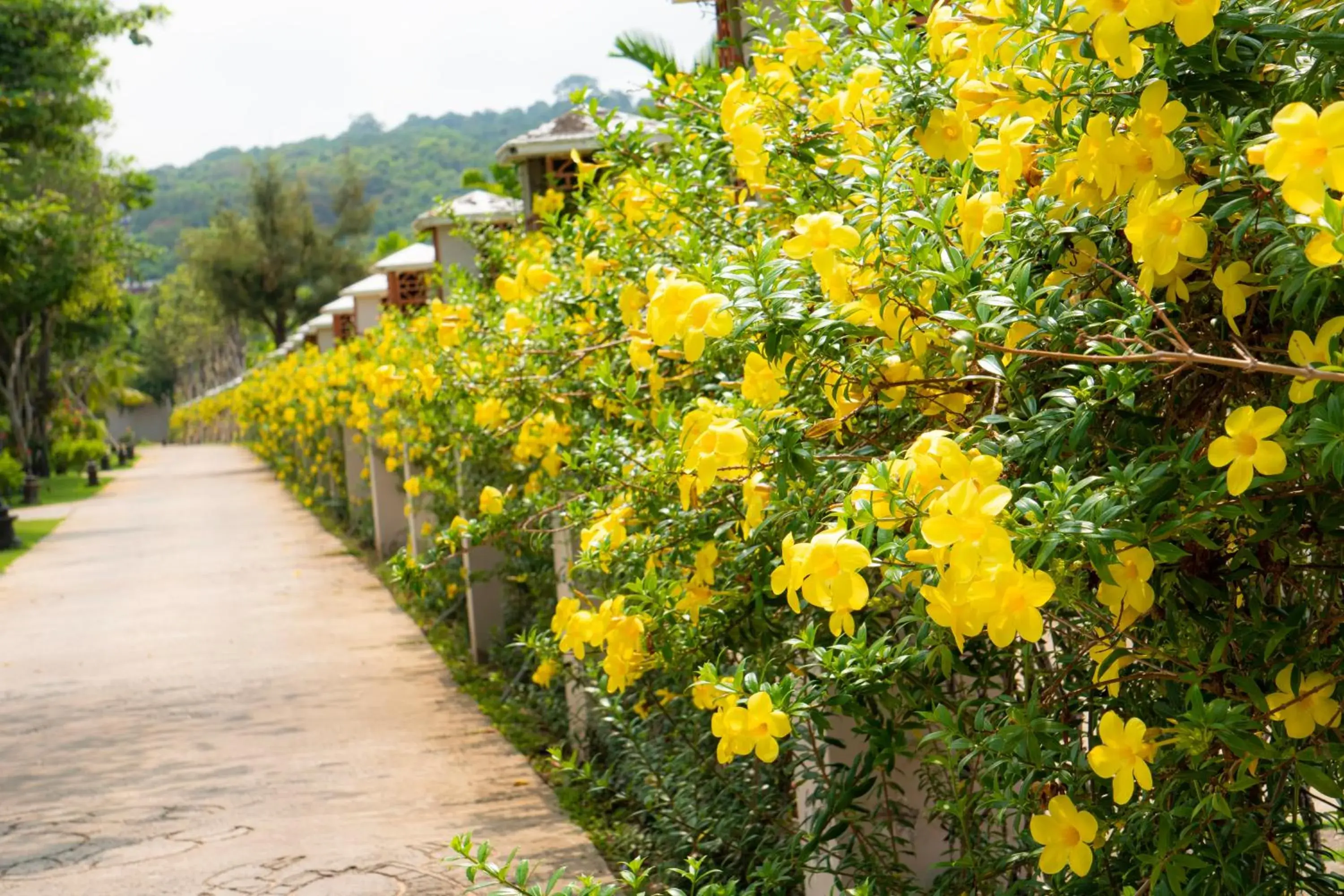 Spa and wellness centre/facilities, Garden in Mercury Phu Quoc Resort & Villas