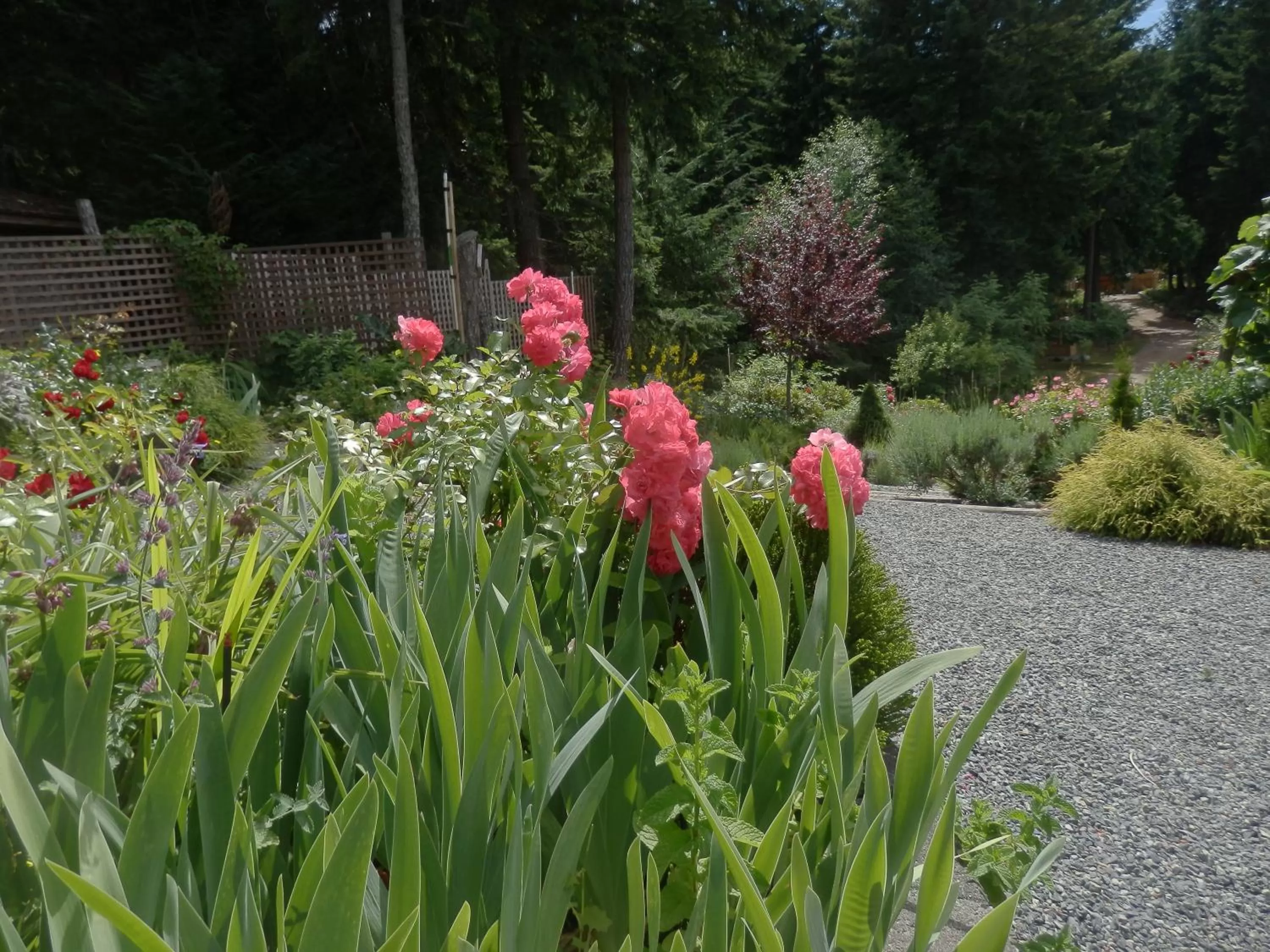 Day, Garden in Armand Heights