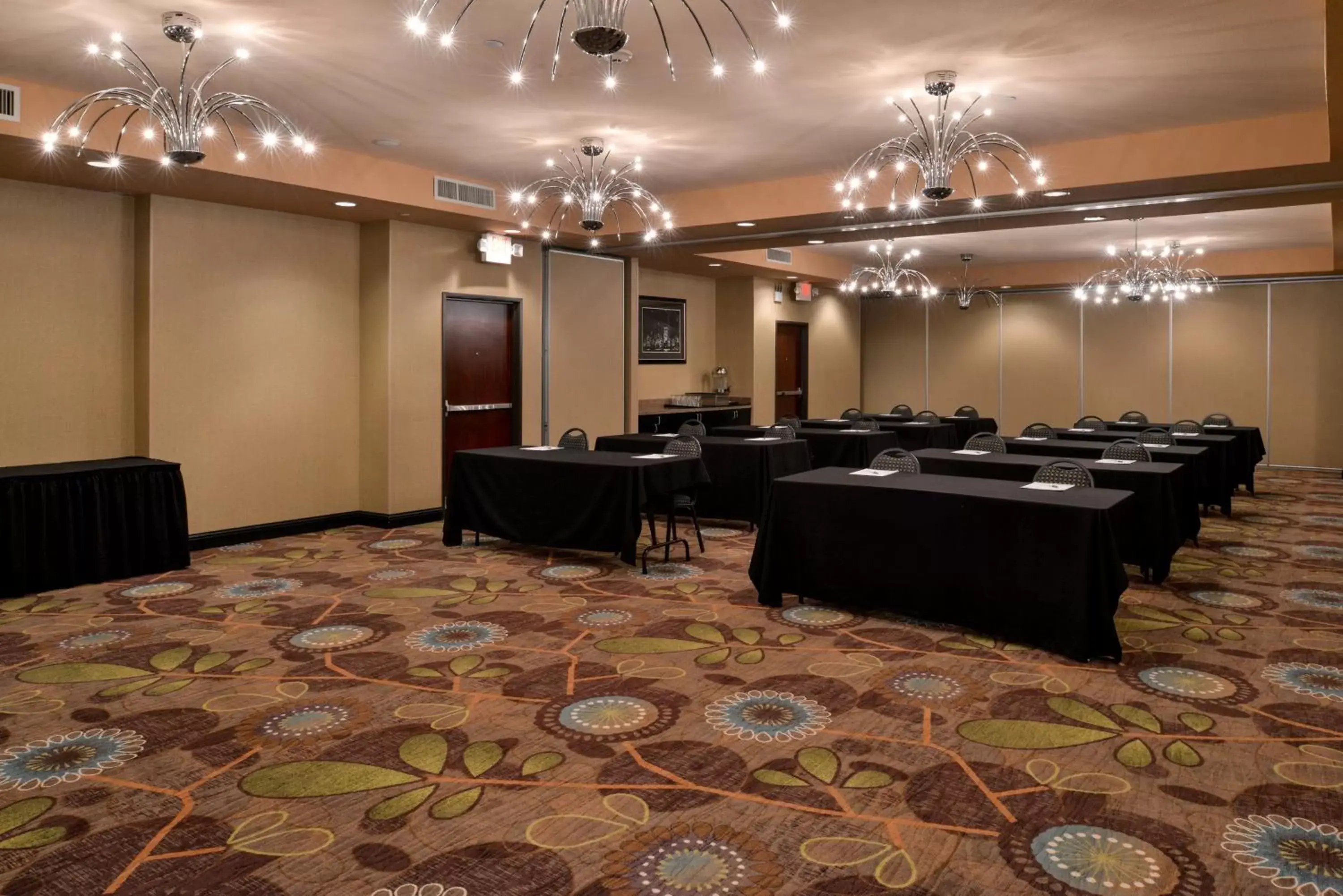 Meeting/conference room in Holiday Inn Fort Worth North- Fossil Creek, an IHG Hotel