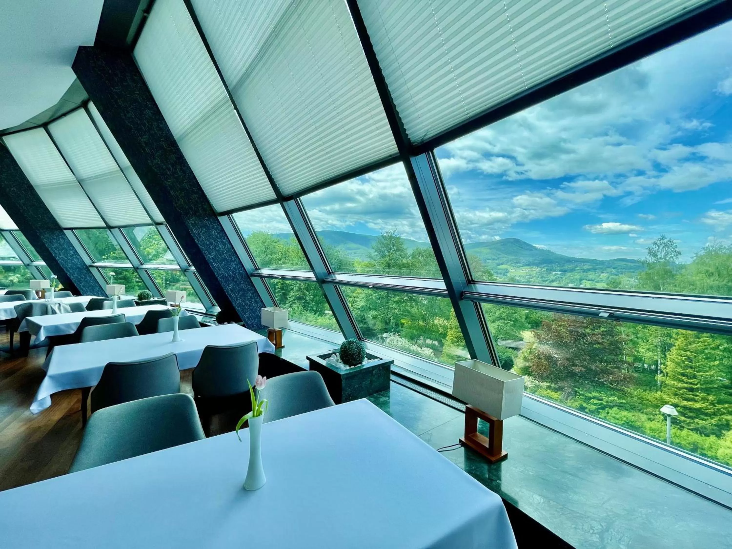 Restaurant/places to eat in Hotel Belweder