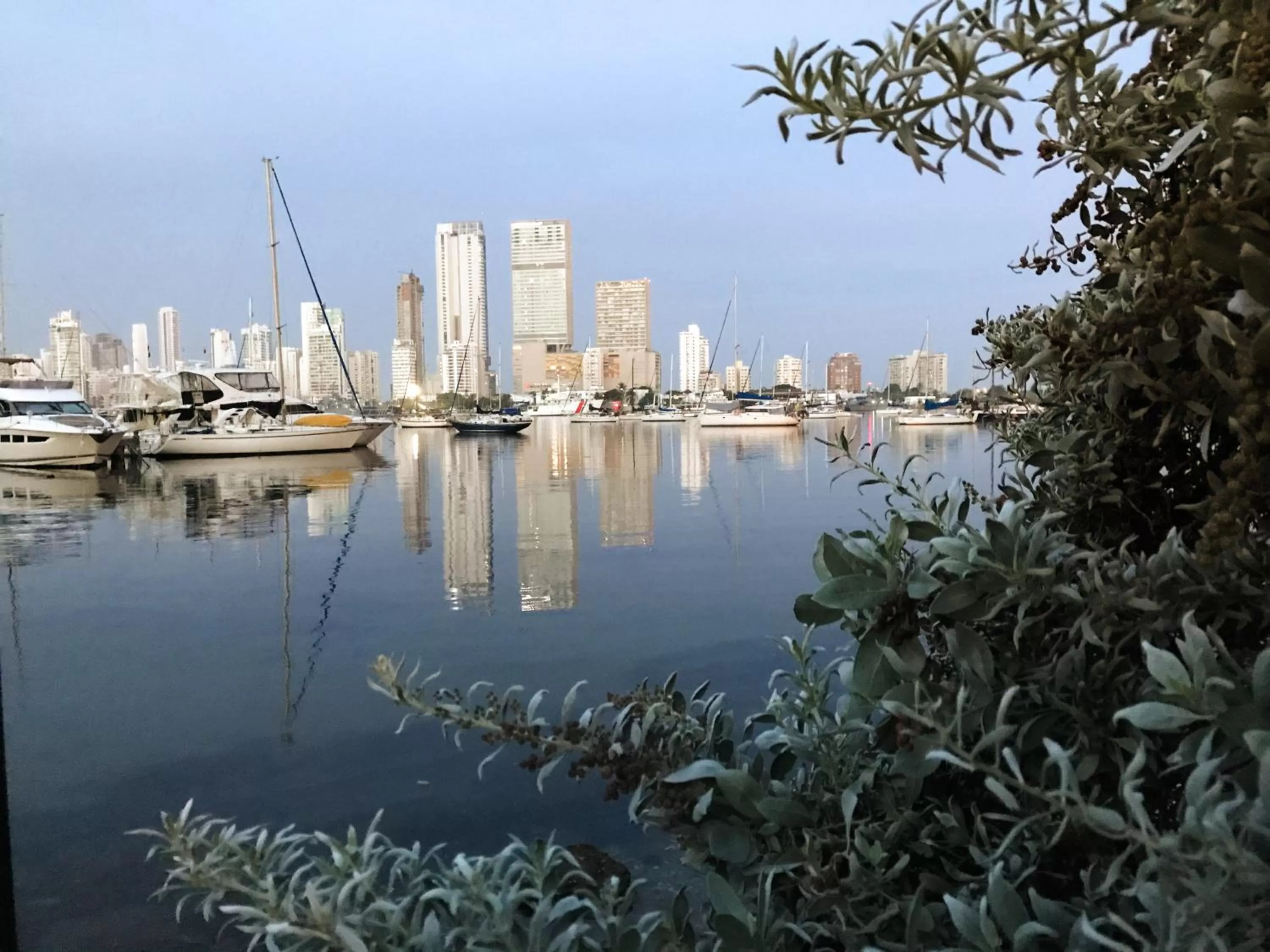 Neighbourhood in Mansion Bahia Manga