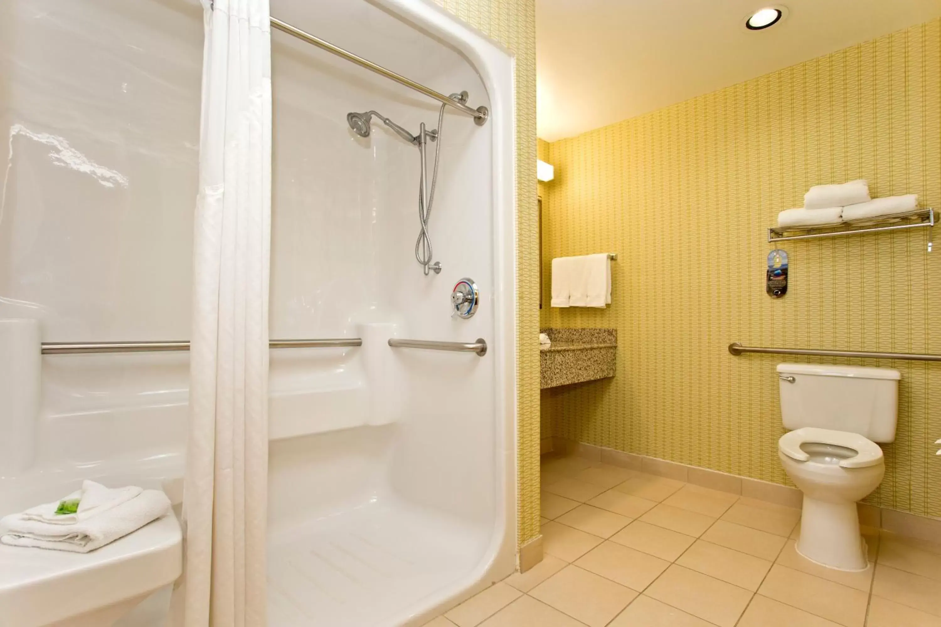 Bathroom in Holiday Inn Express Stephens City, an IHG Hotel