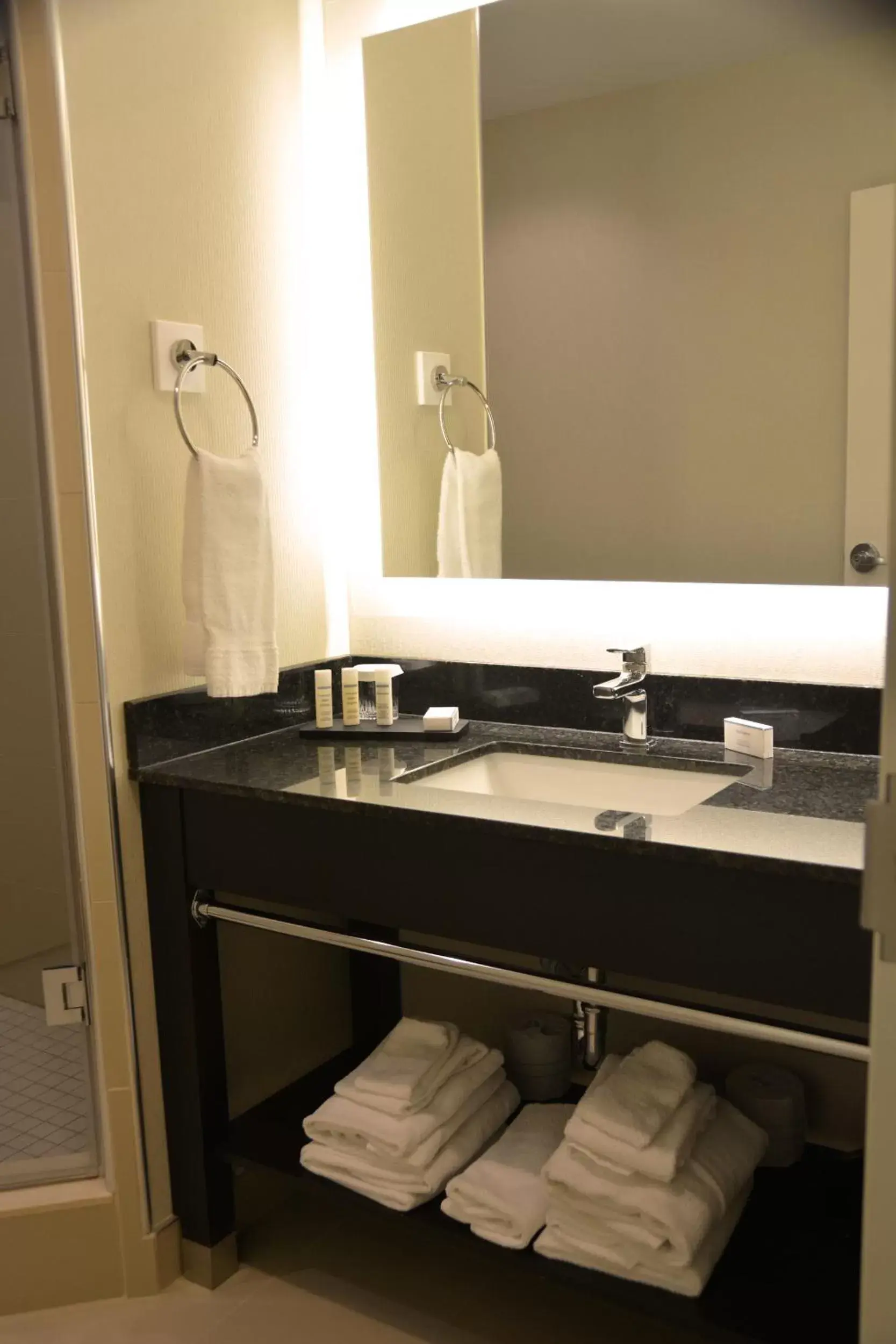 Bathroom in Tower Hotel at Fallsview