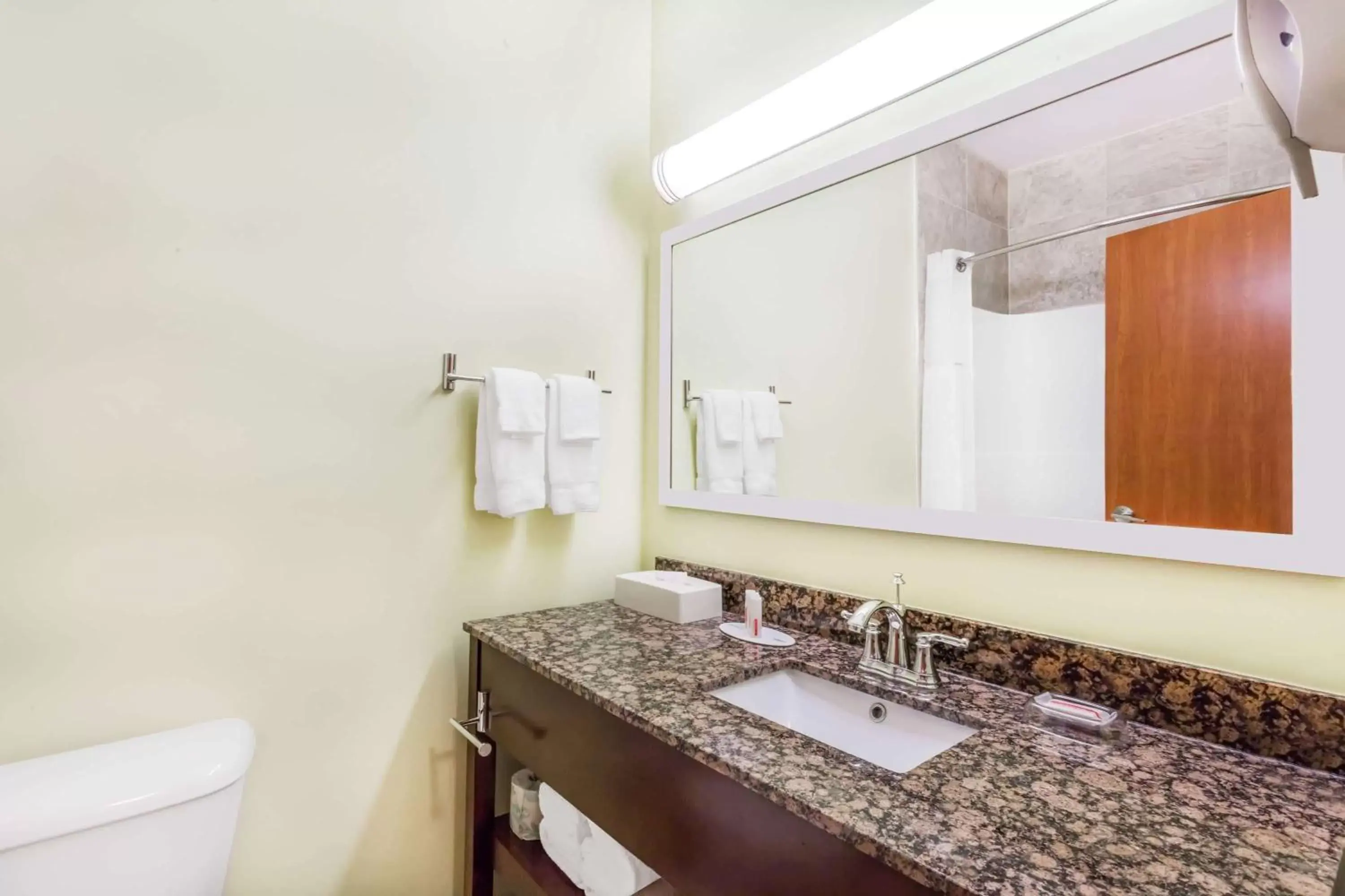 Bathroom in Ramada by Wyndham Carlyle