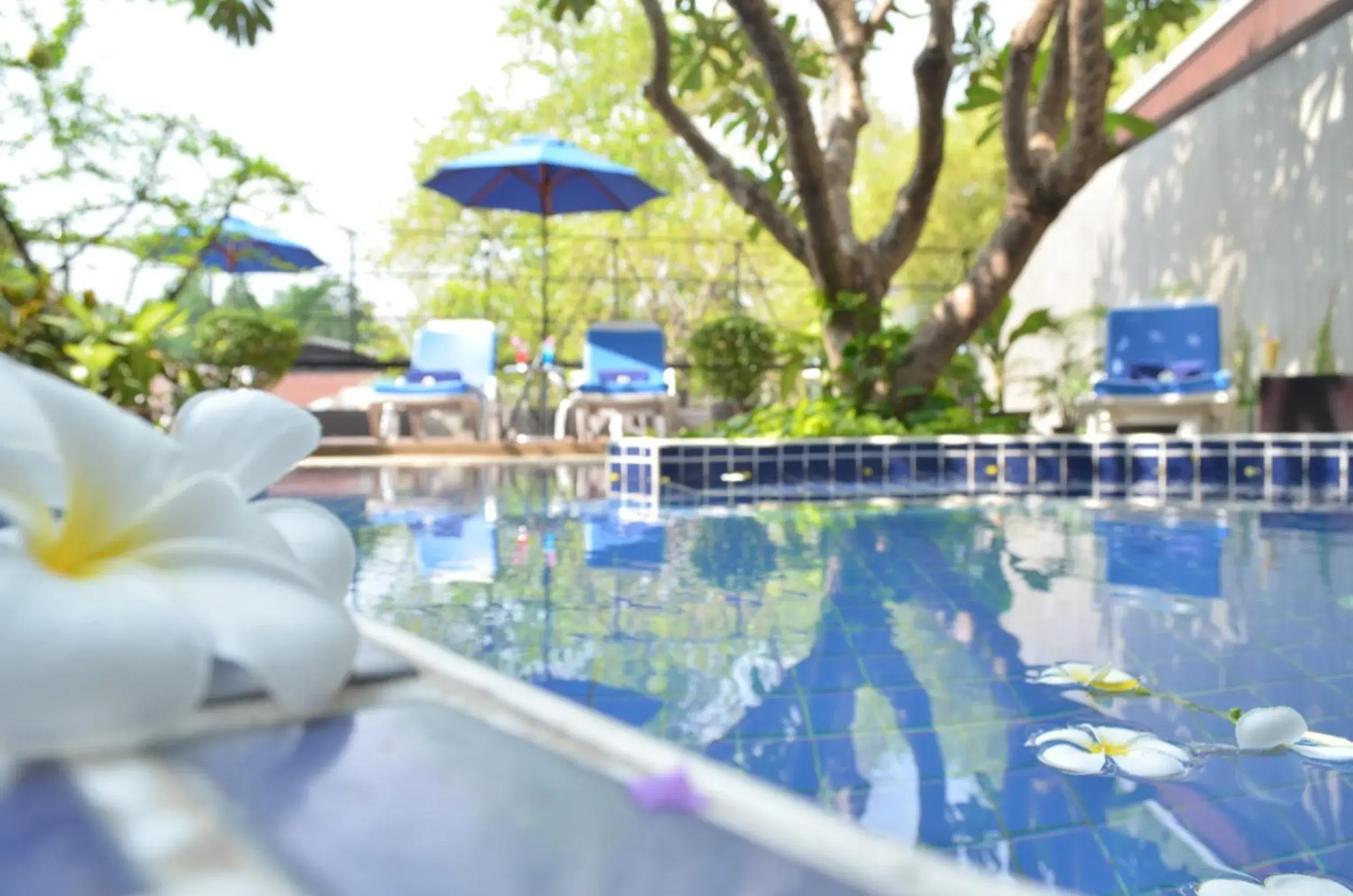 Swimming Pool in Anya Nana @ Sukhumvit - Bangkok (SHA Plus)